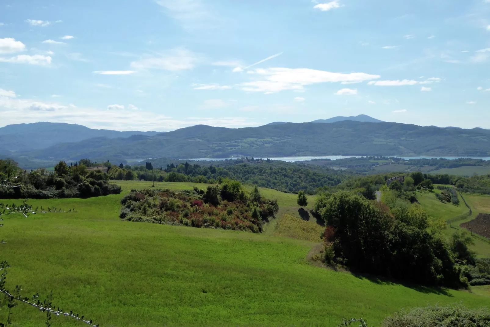Salice Sei-Areas summer 5km