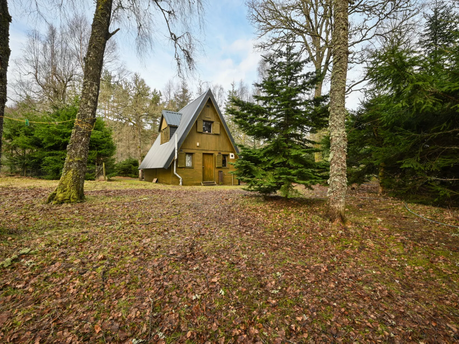Birchwood Cottage-Outside