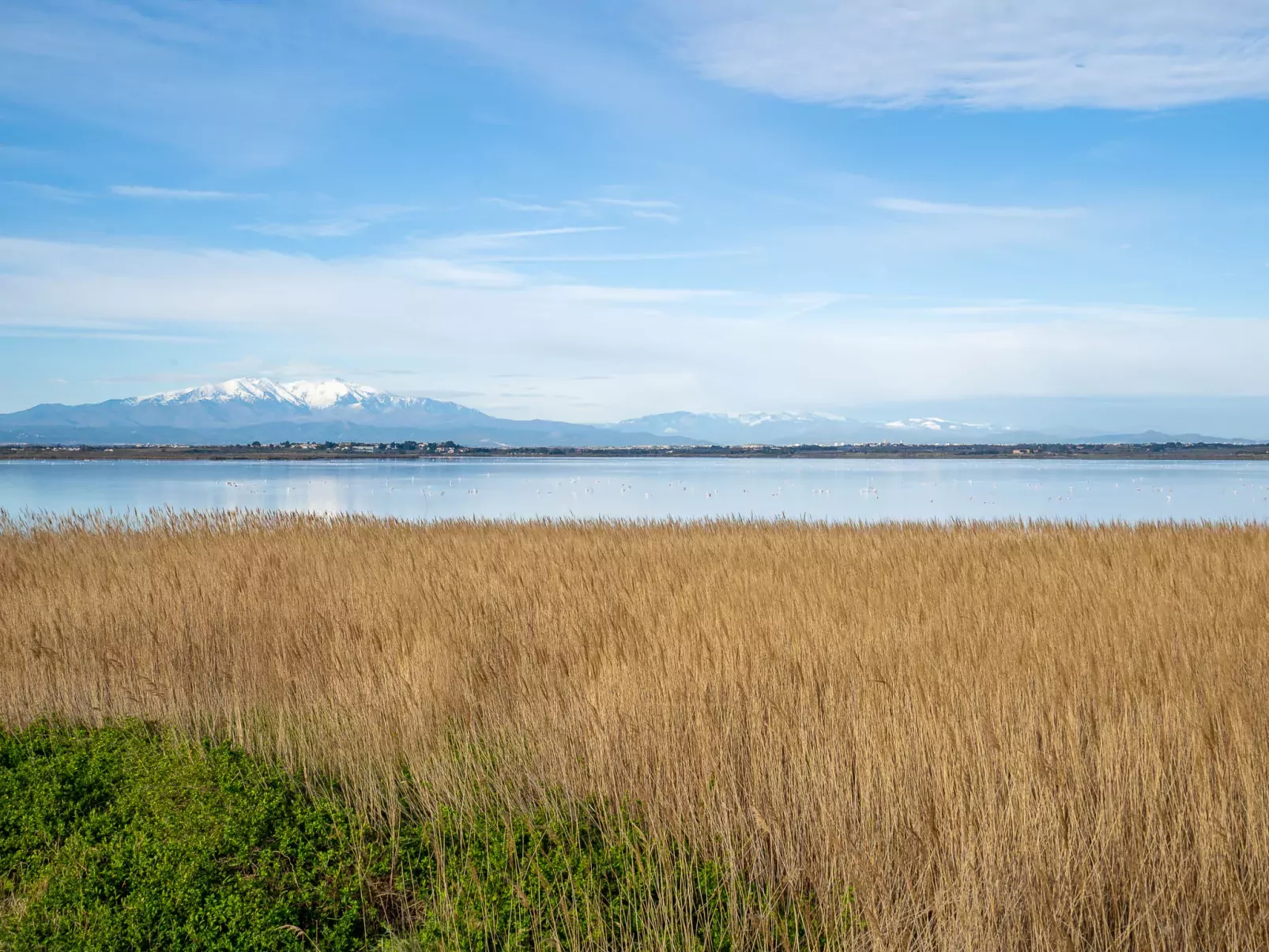 Les Amandiers-Area