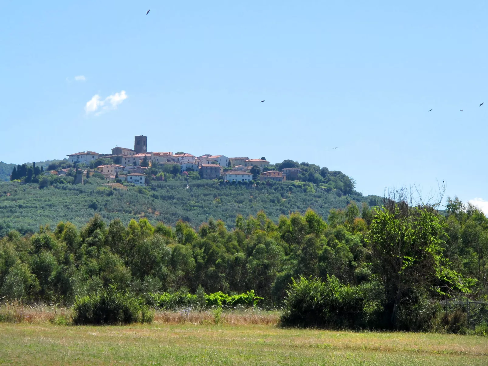 Tenuta San Lazzaro-Dehors