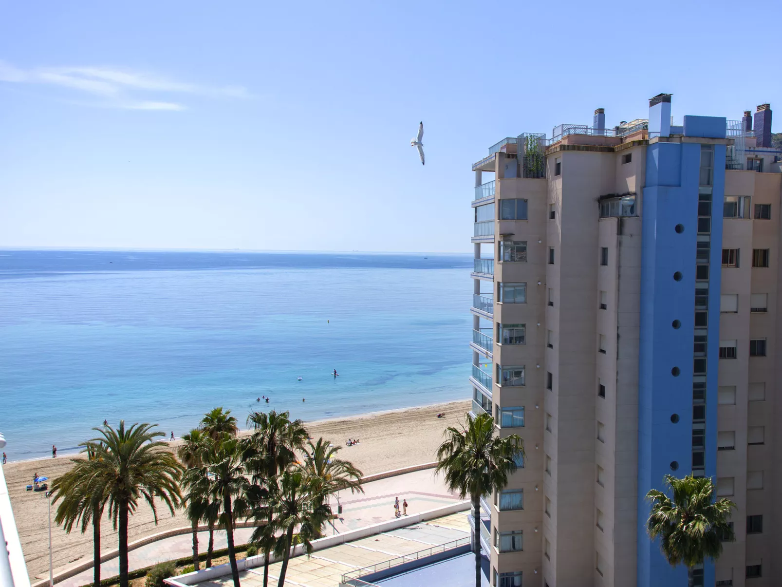 Aguamarina-Dehors