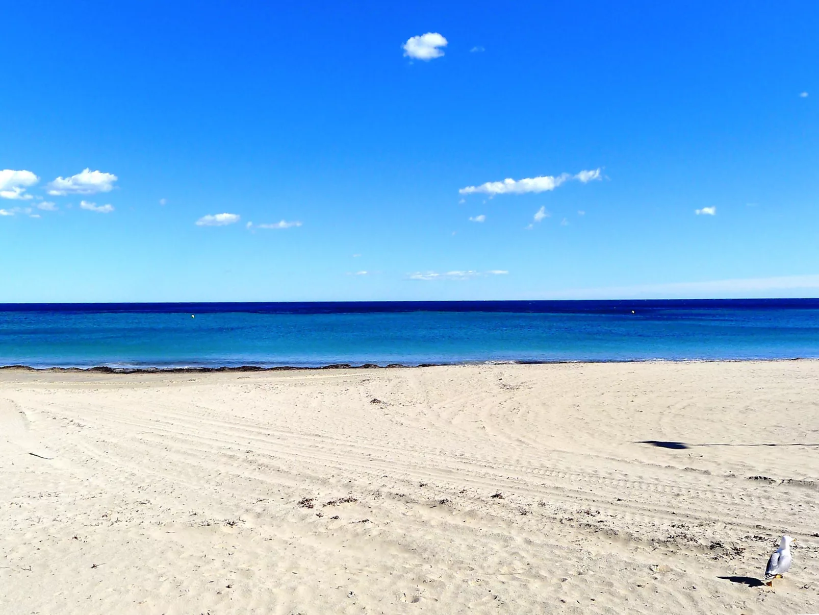 Aguamarina-Dedans
