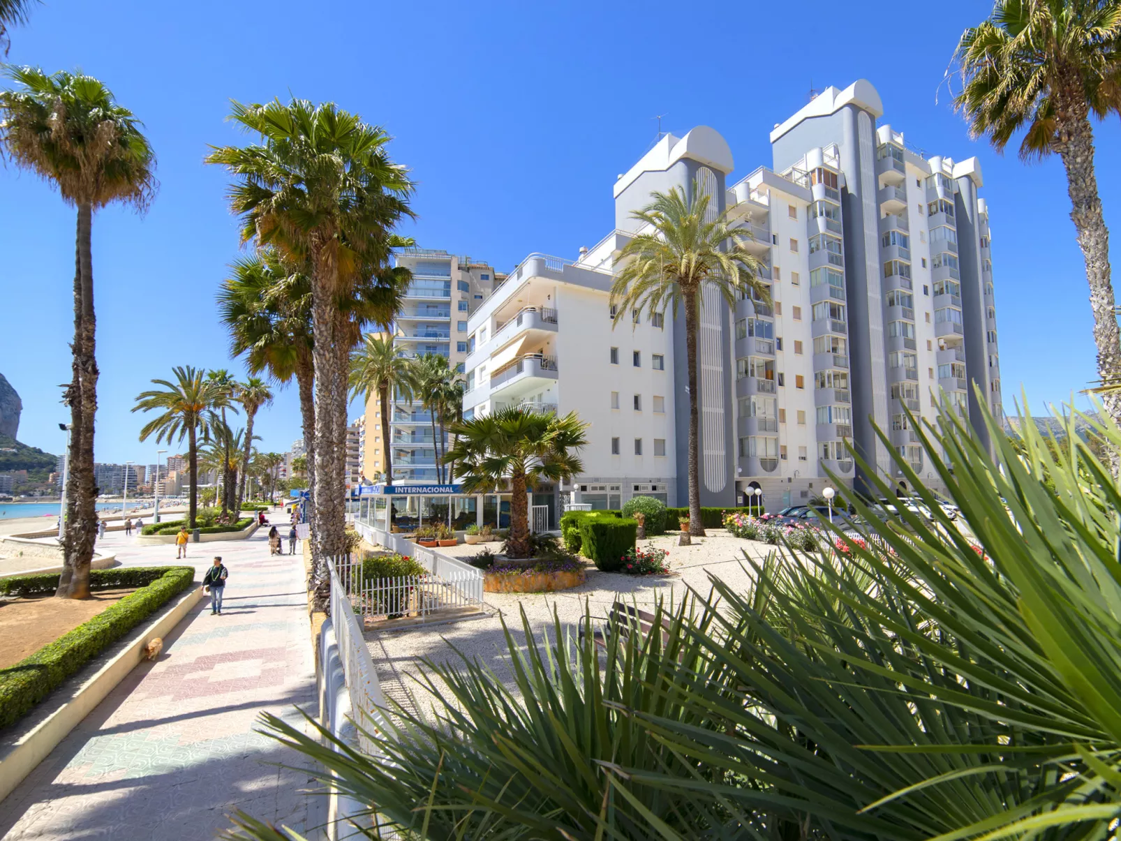 Aguamarina-Dehors