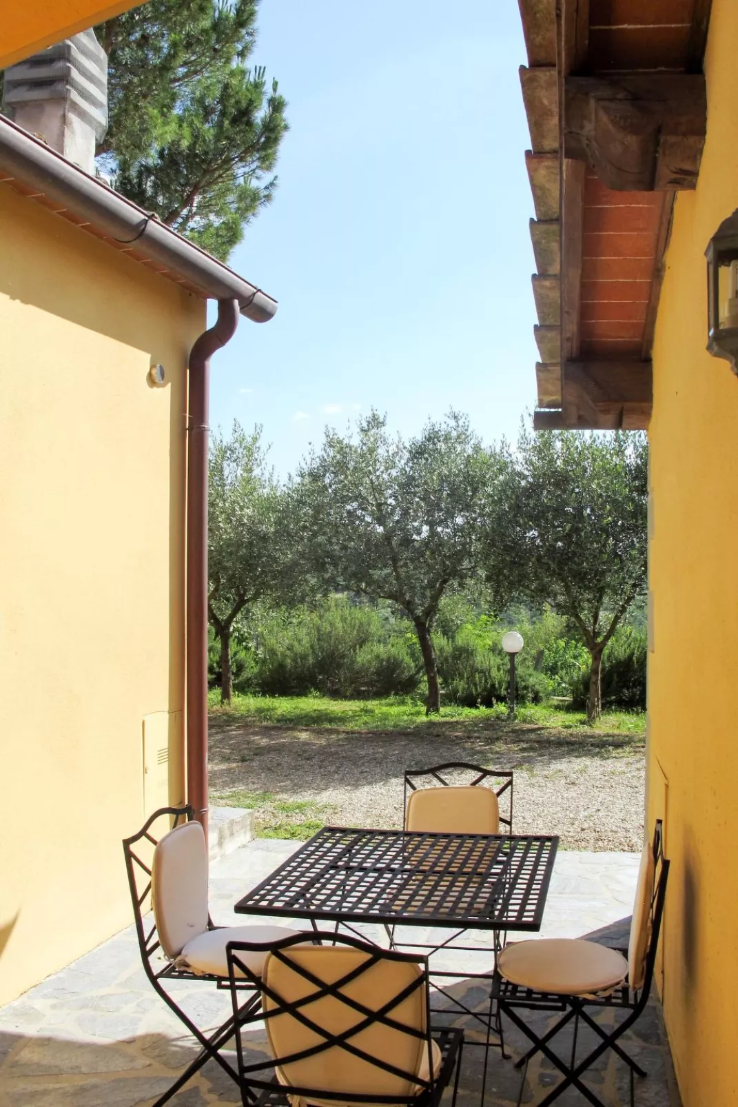 Cedri Alti-Outside