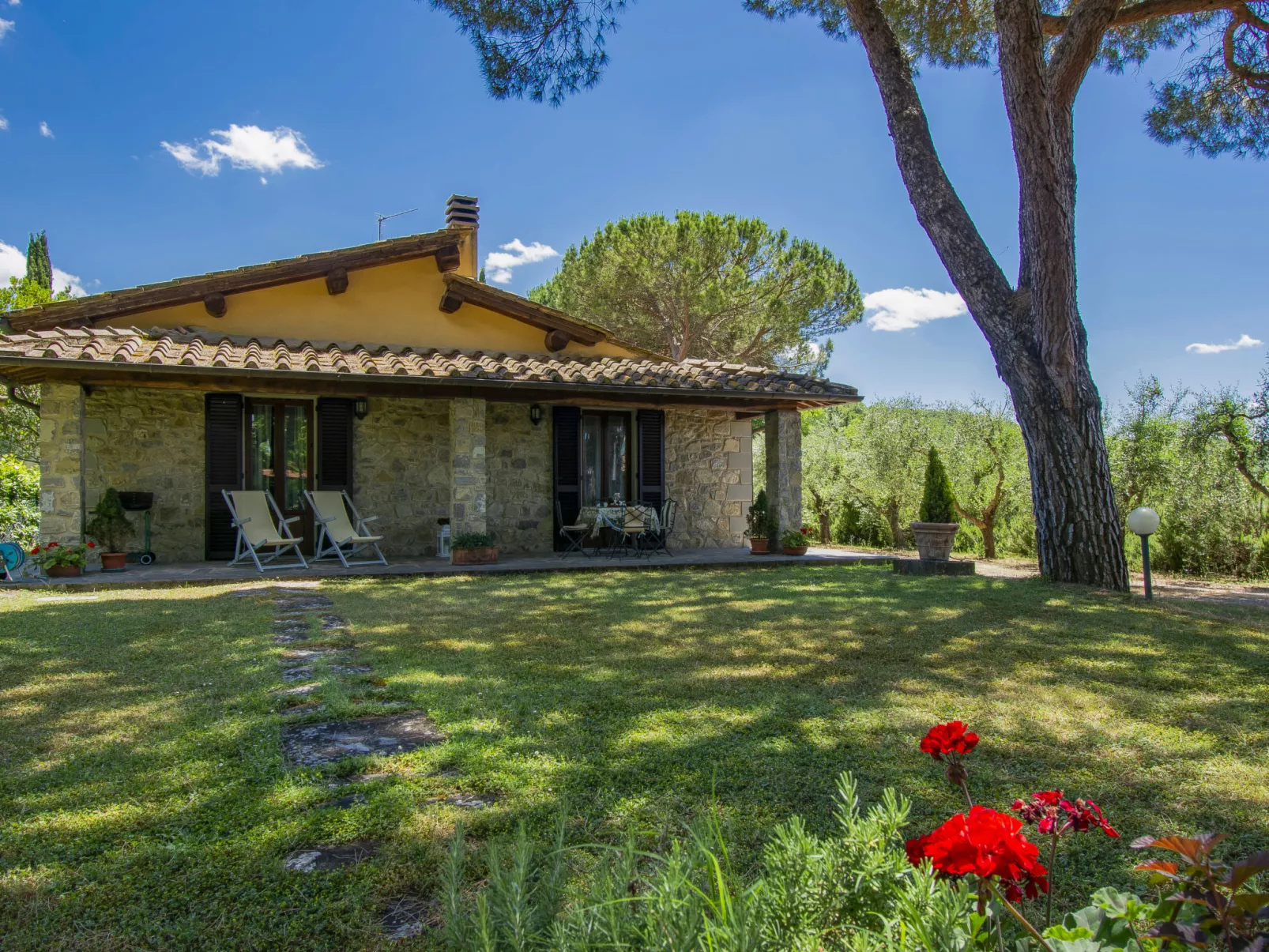 Cedri Alti-Outside