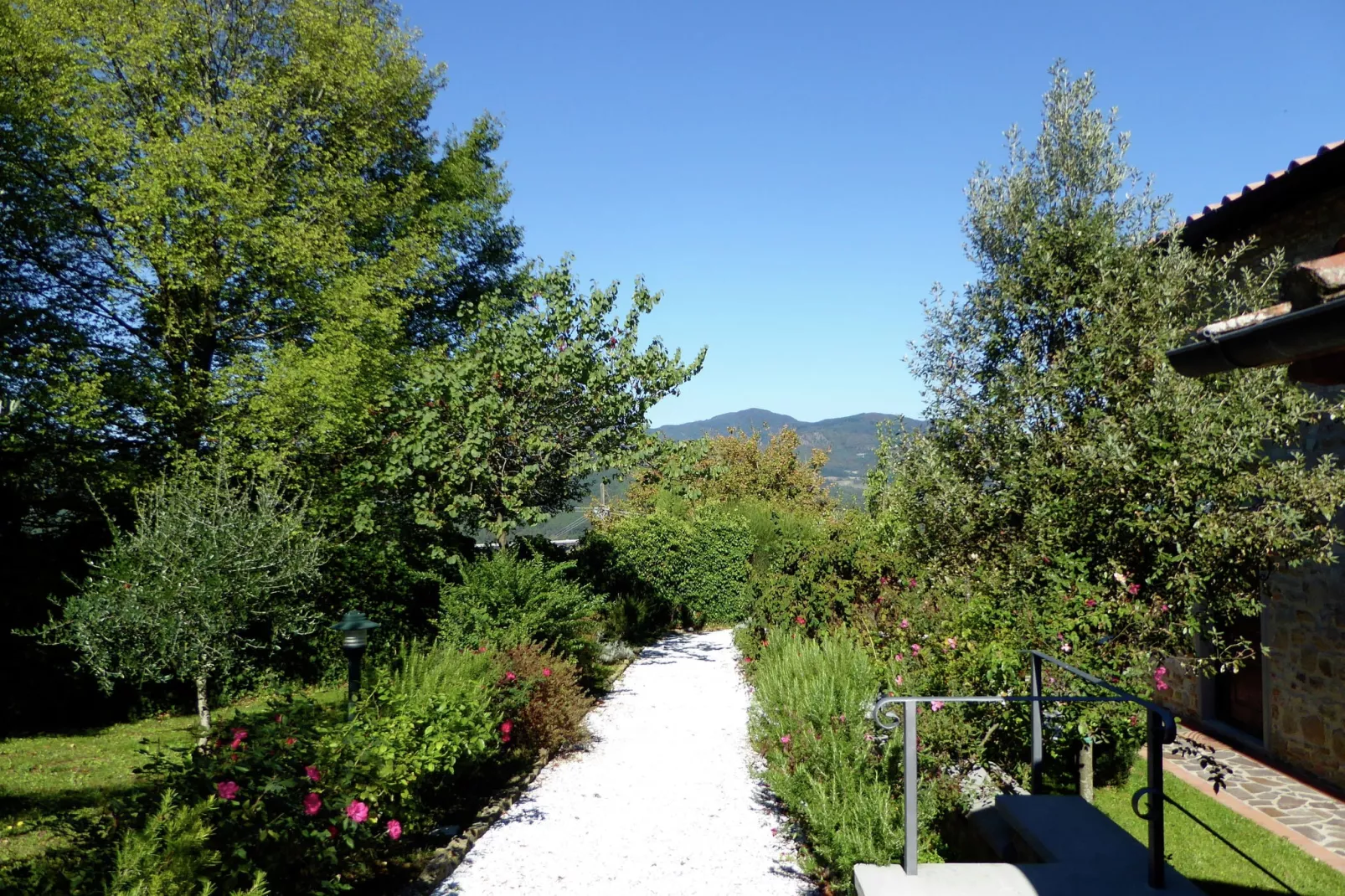 Nocciolo Uno-Gardens summer