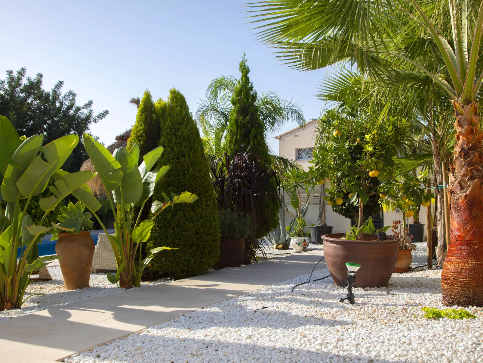 Verano-Outside
