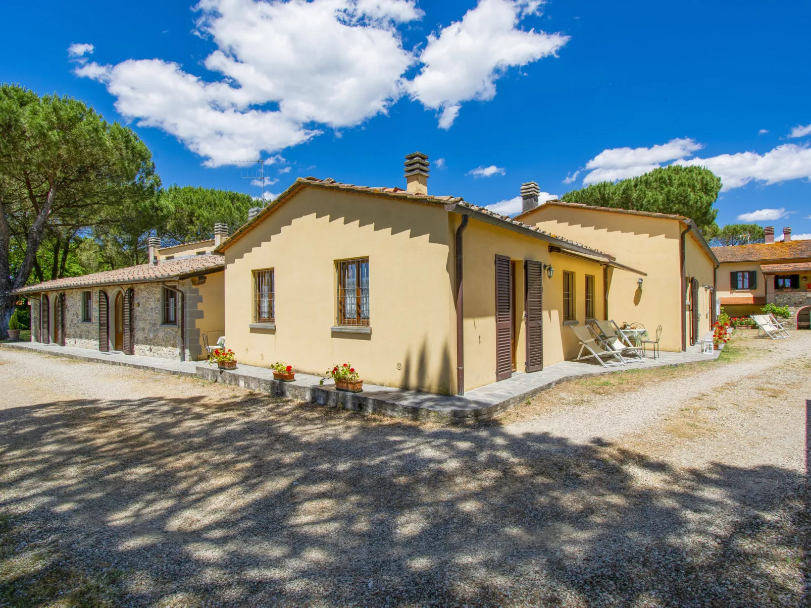 Cedri Alti-Outside