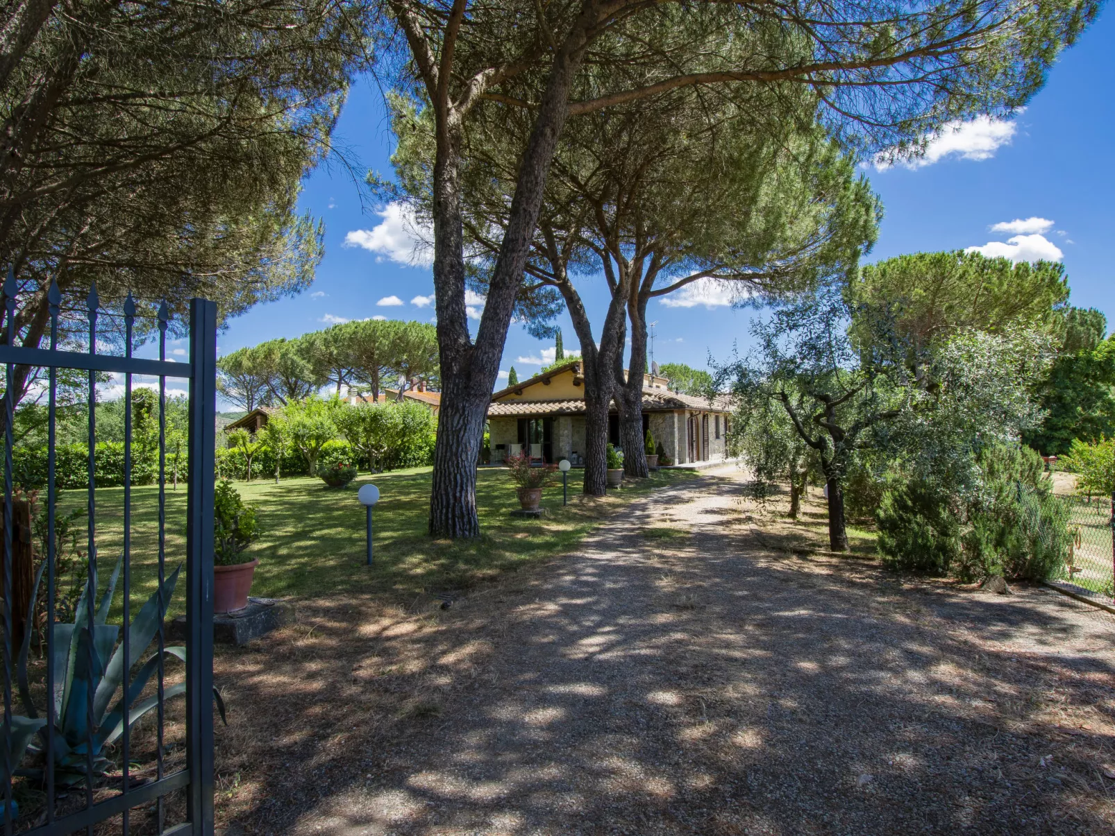 Cedri Alti-Outside