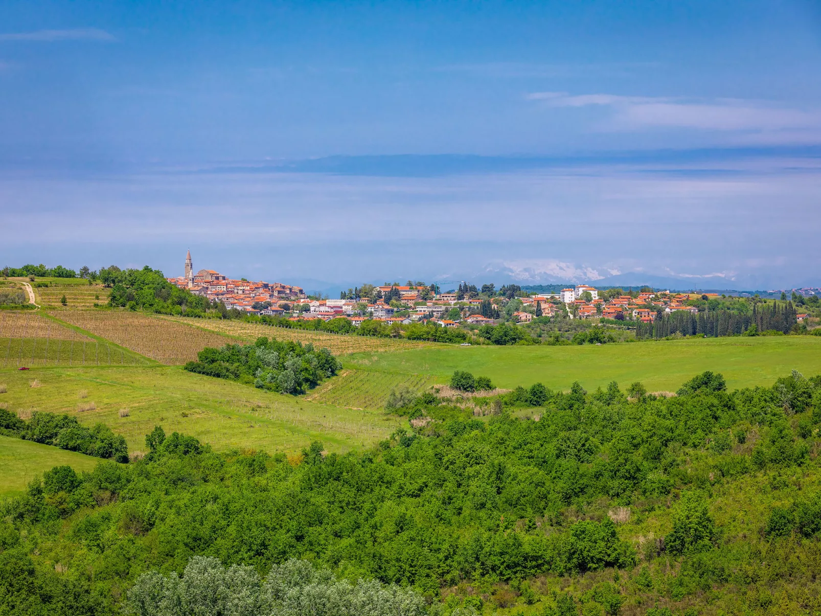 Stuartma-Area