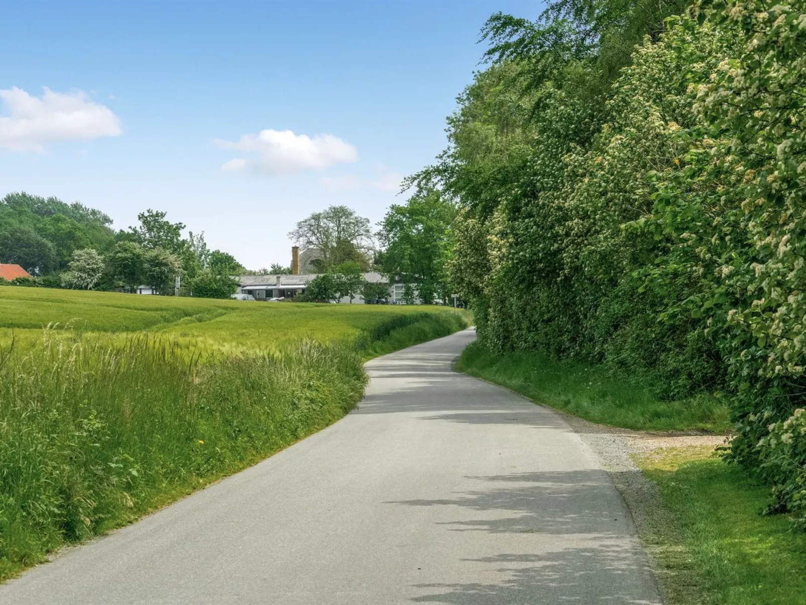 "Thorwer" - 250m from the sea-Outside