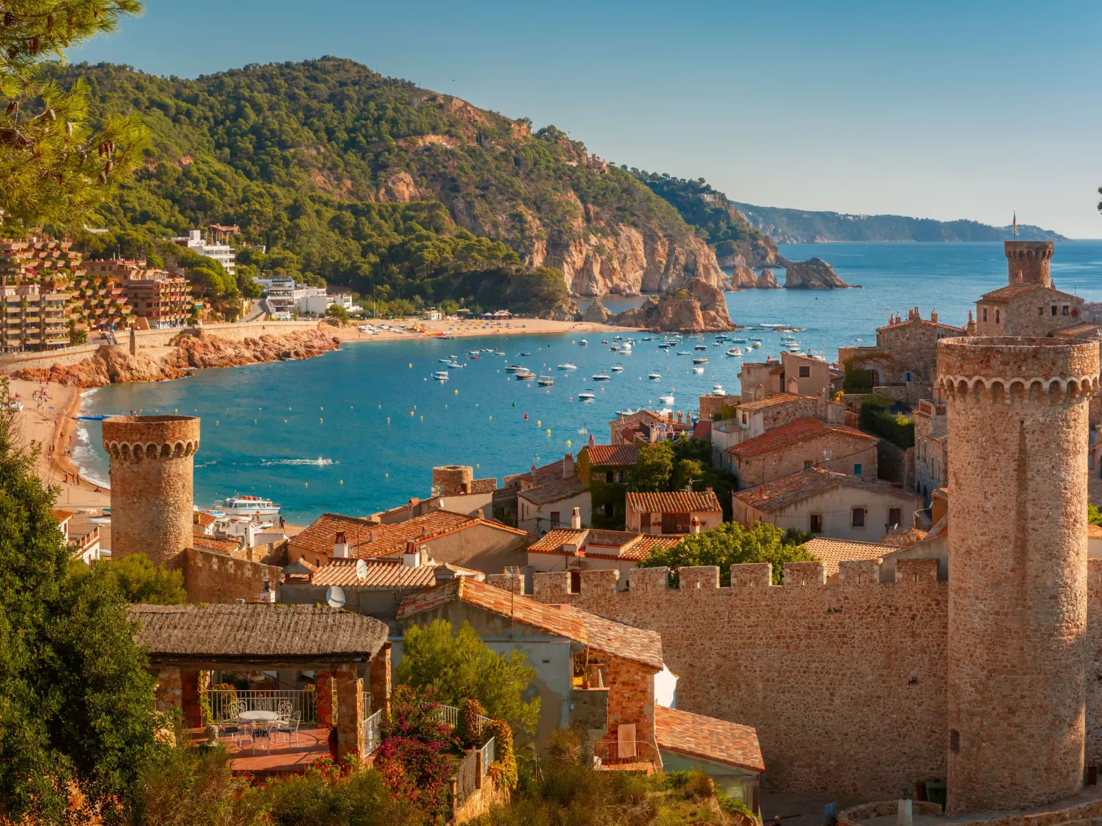 Cala Salionc-Area