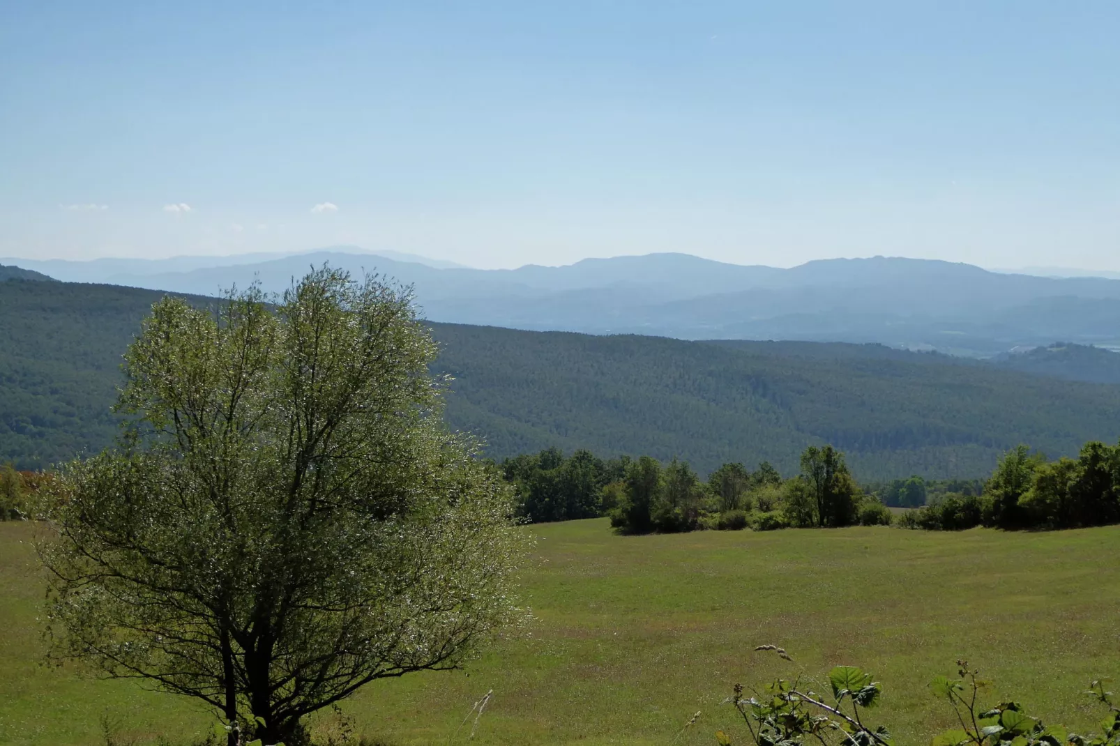 Leccio Due-Areas summer 1km