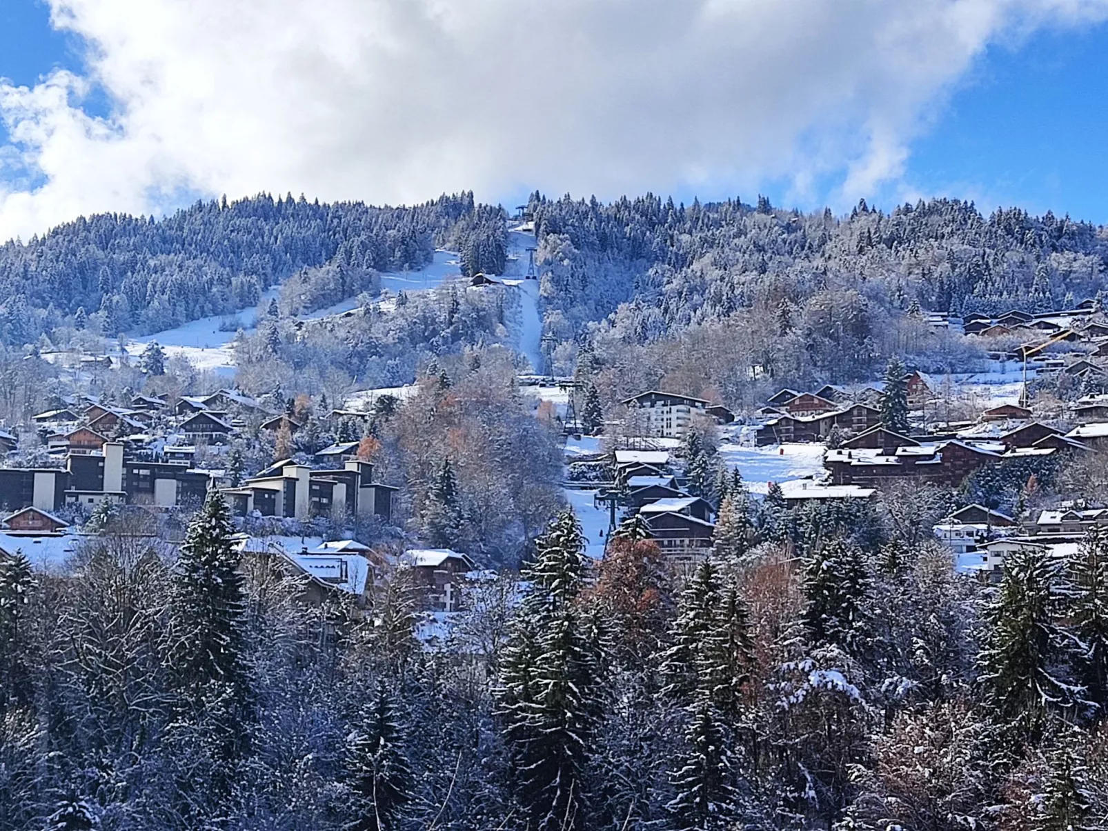 L'Orée du Parc-Area