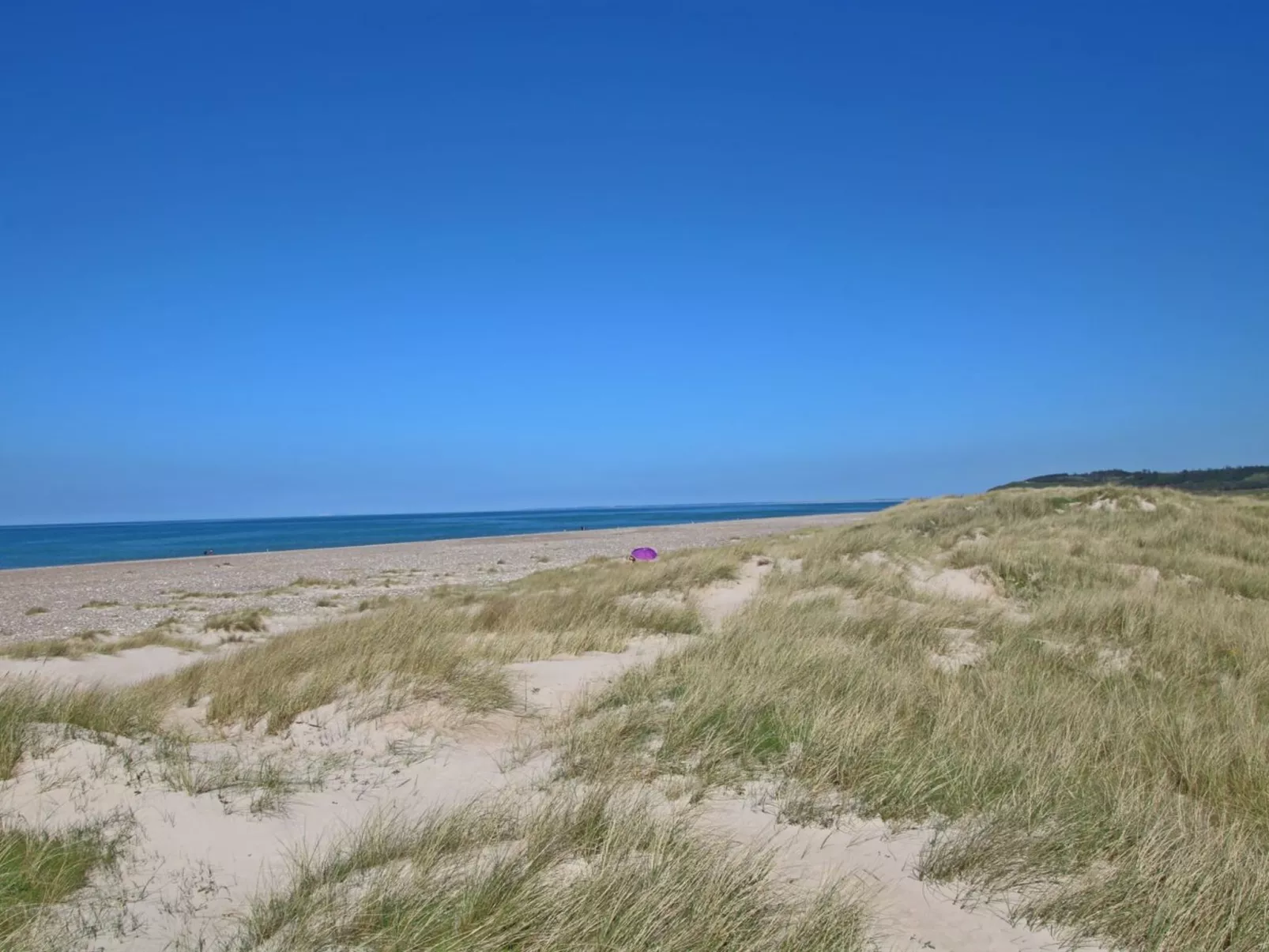 "Nanook" - 4.5km from the sea-Outside