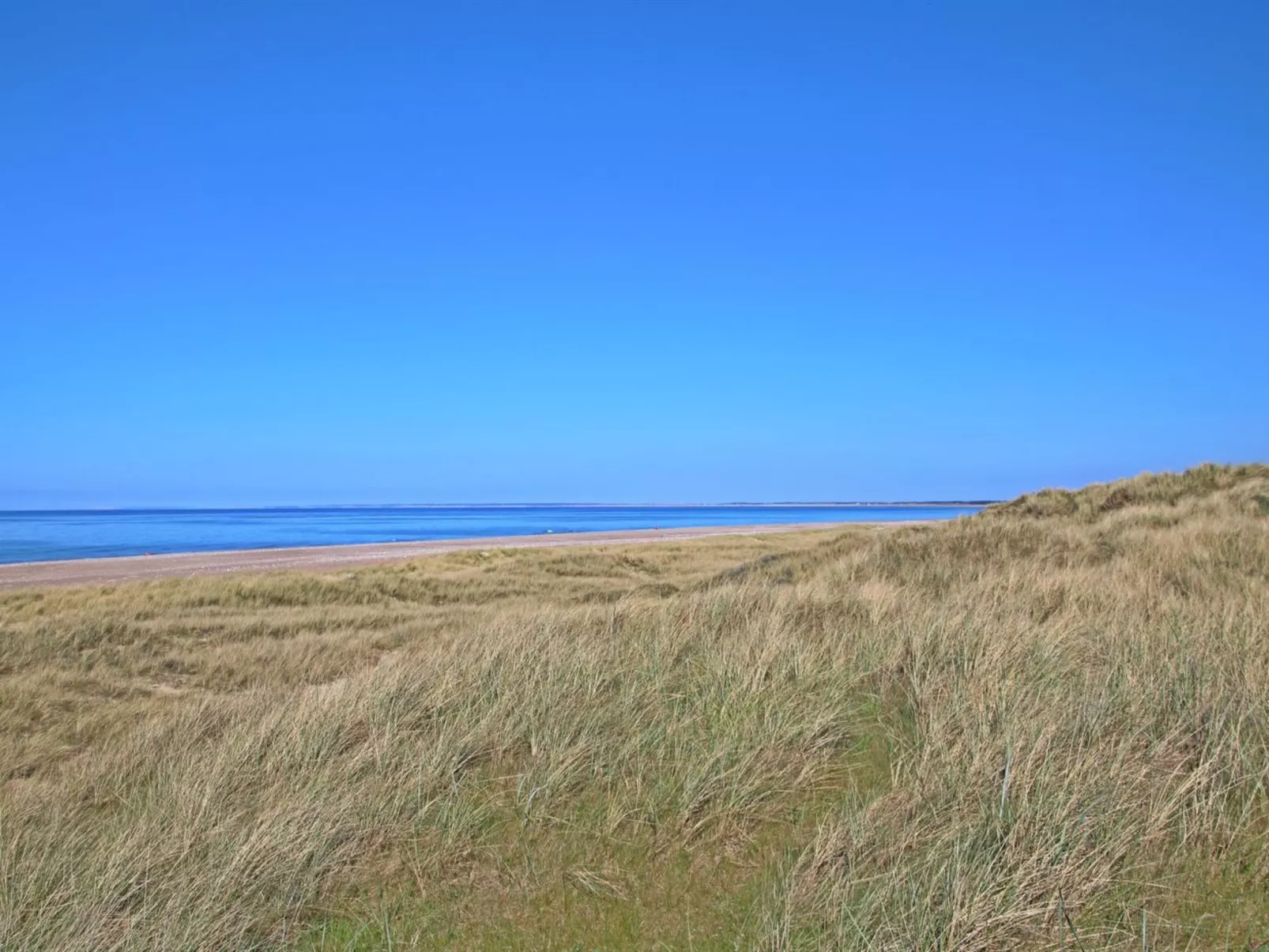 "Nanook" - 4.5km from the sea-Outside