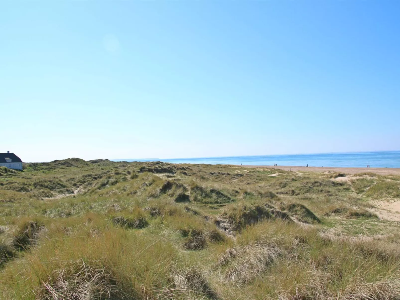 "Nanook" - 4.5km from the sea-Outside