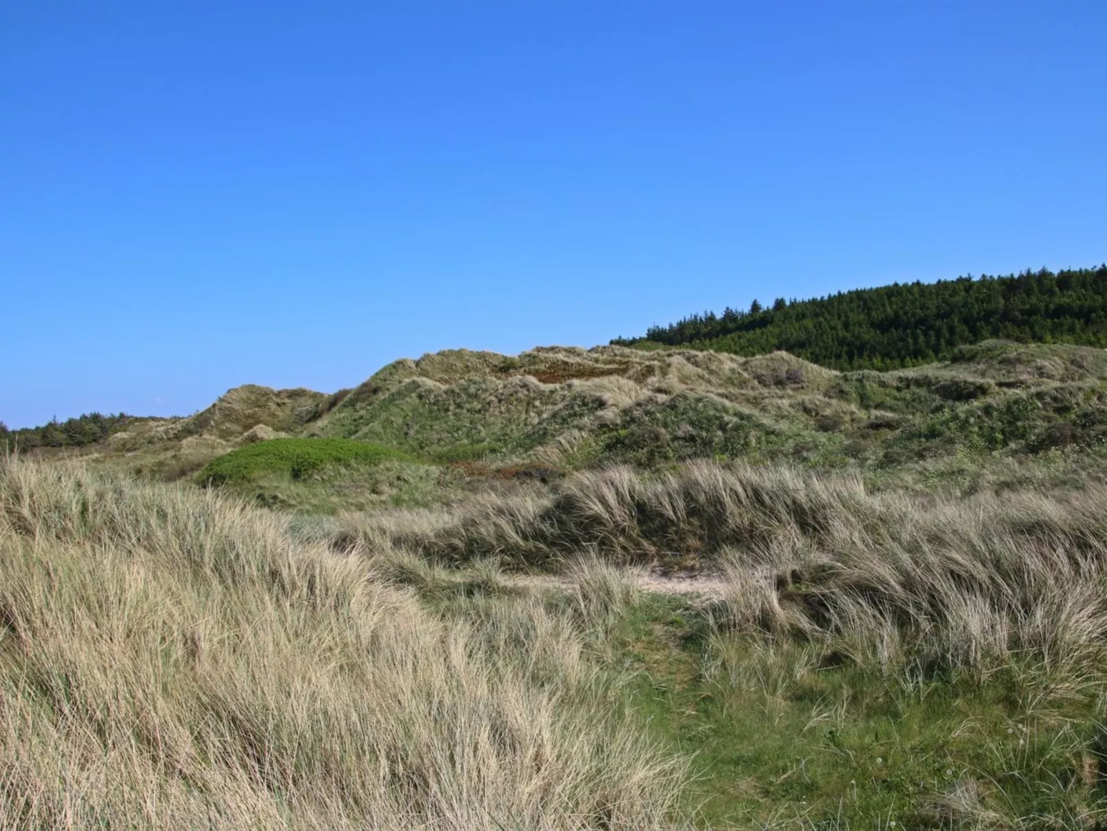 "Nanook" - 4.5km from the sea-Outside