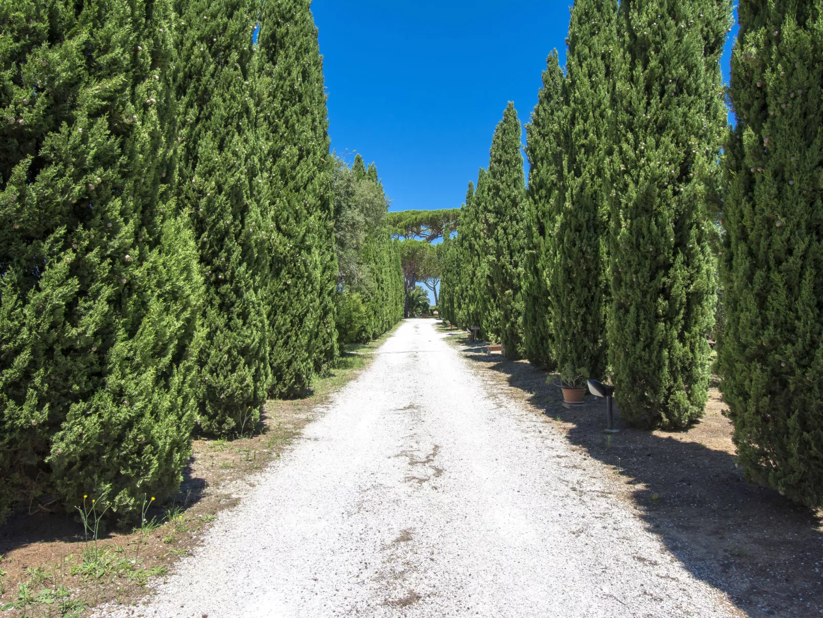 Podere Tre Termini-Outside