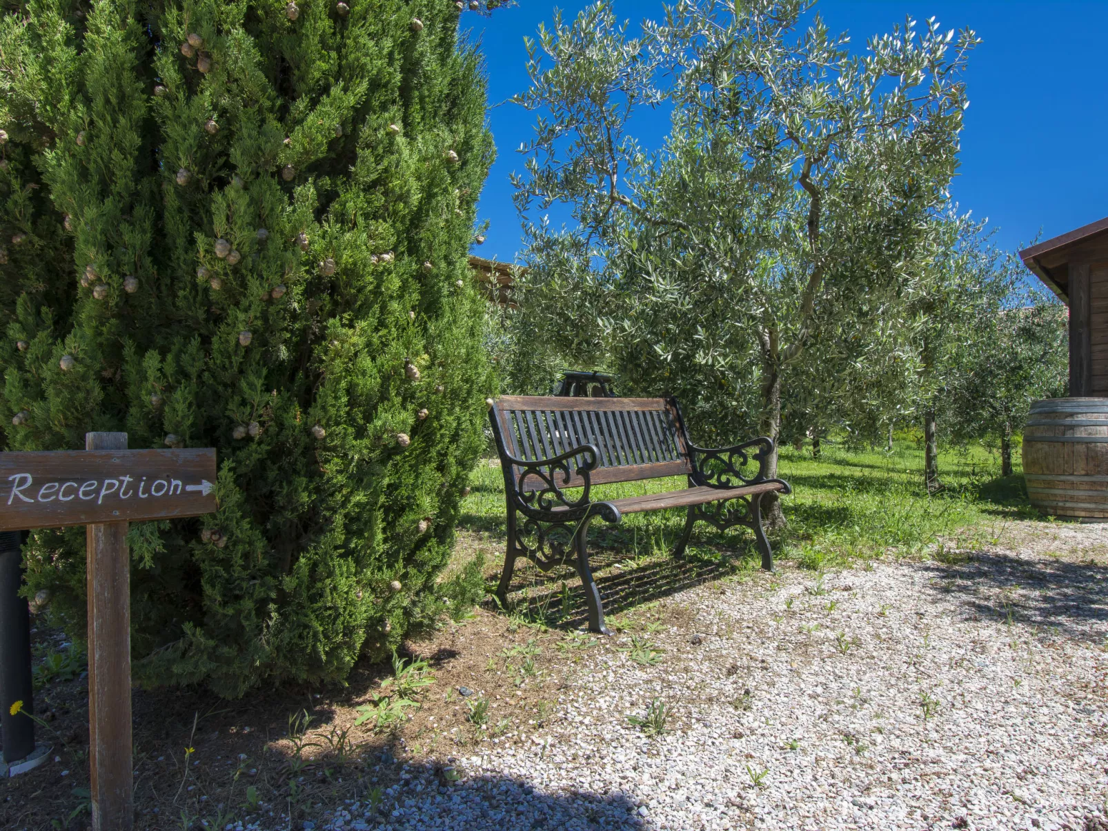 Podere Tre Termini-Outside