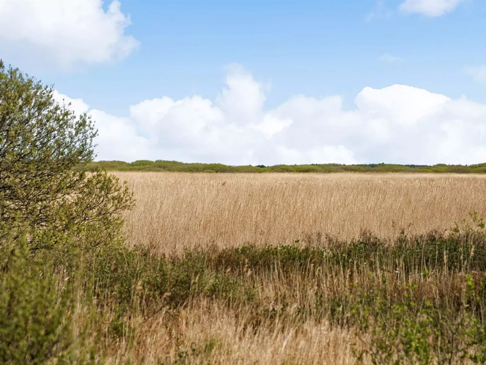 "Hermandine" - 700m from the sea-Drinnen