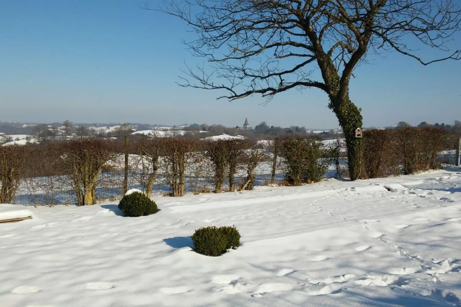La Limbourgeoise-Garden winter
