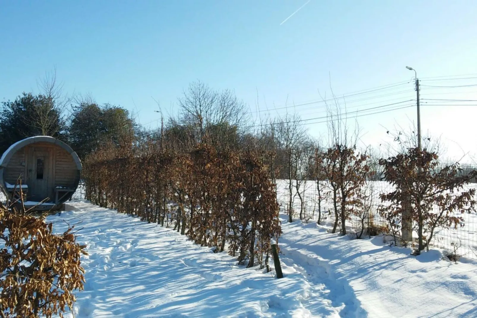 La Limbourgeoise-Garden winter