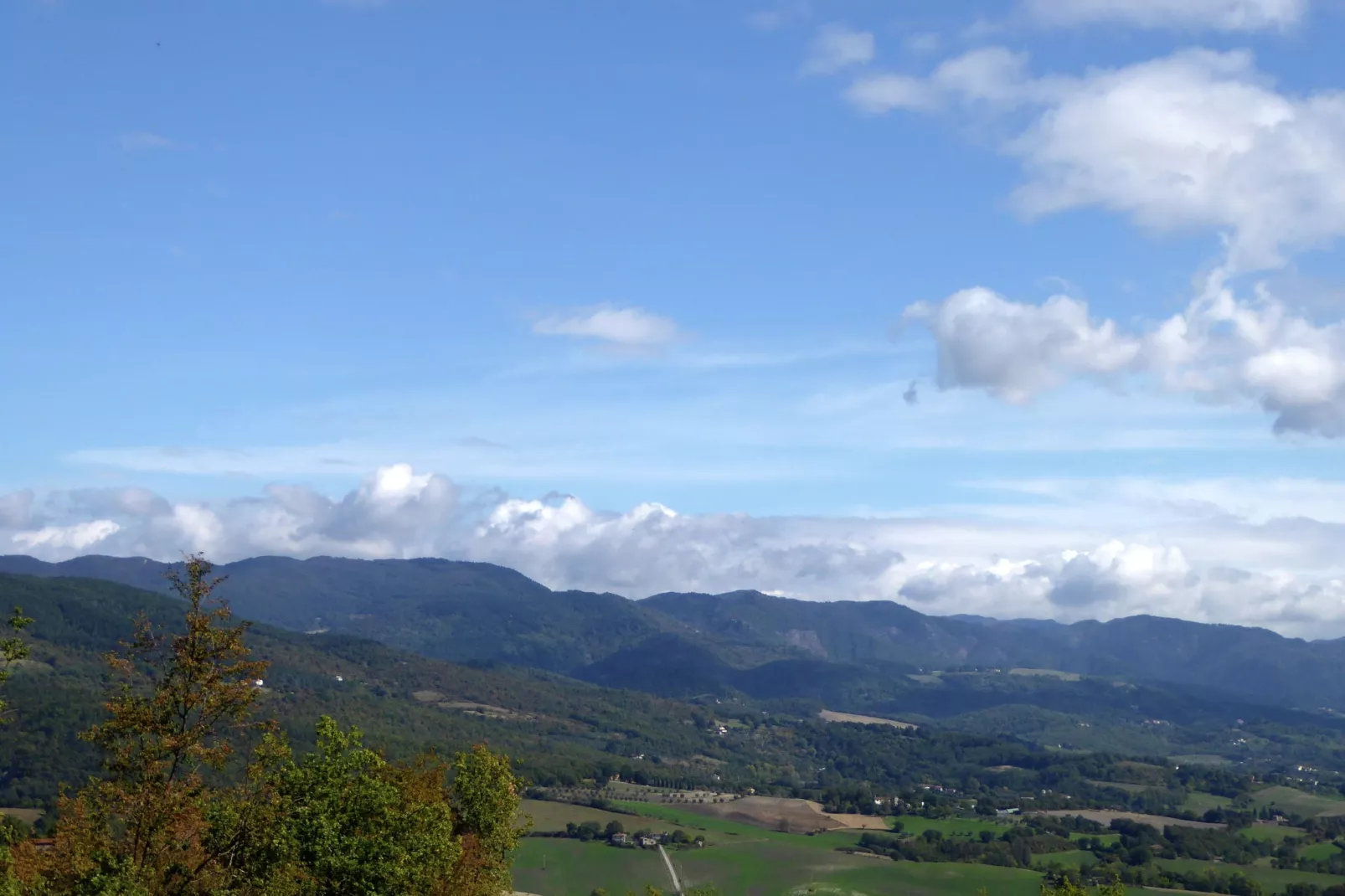 Quercia Undici-Areas summer 5km