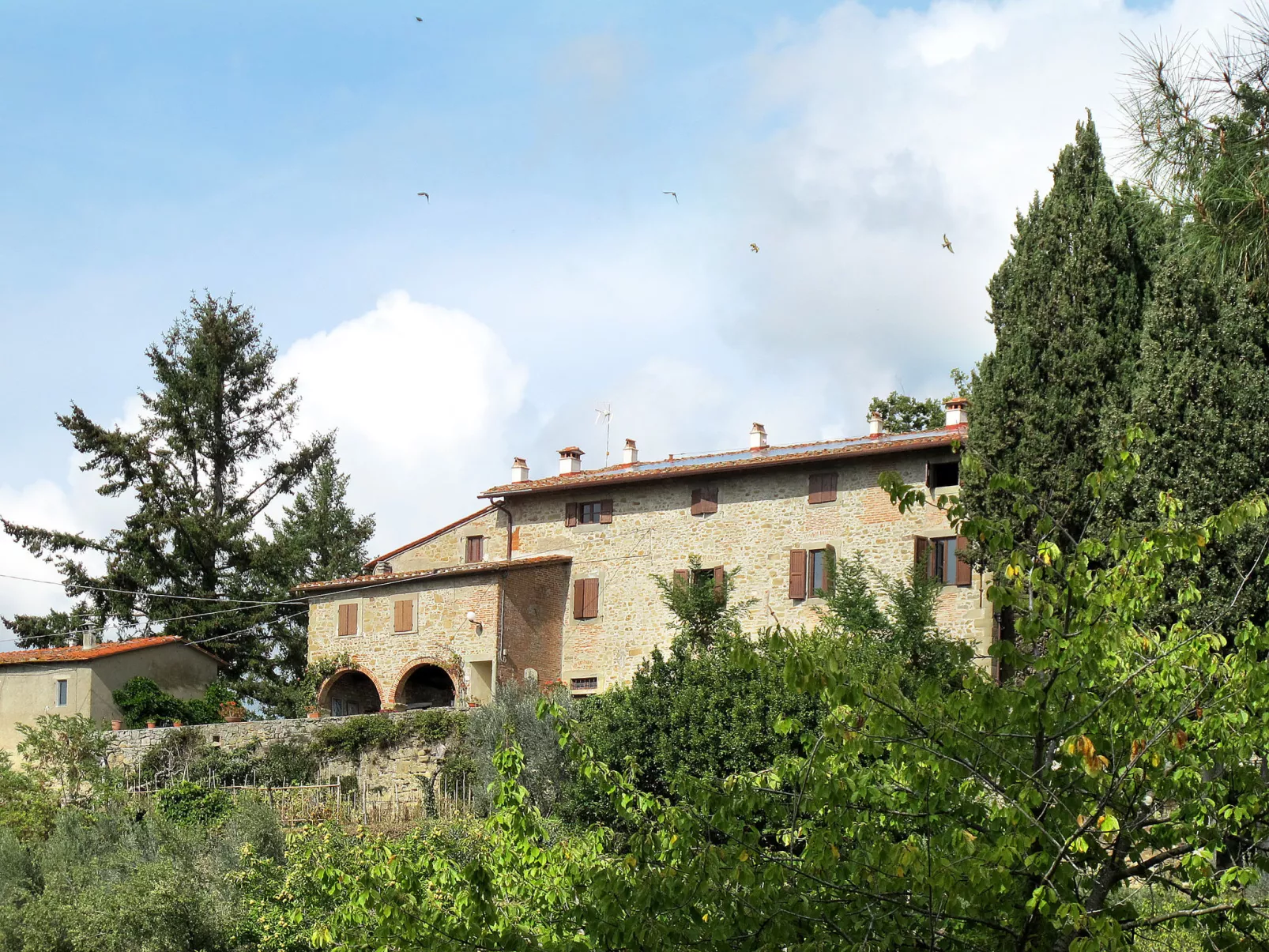 Belvedere-Dehors