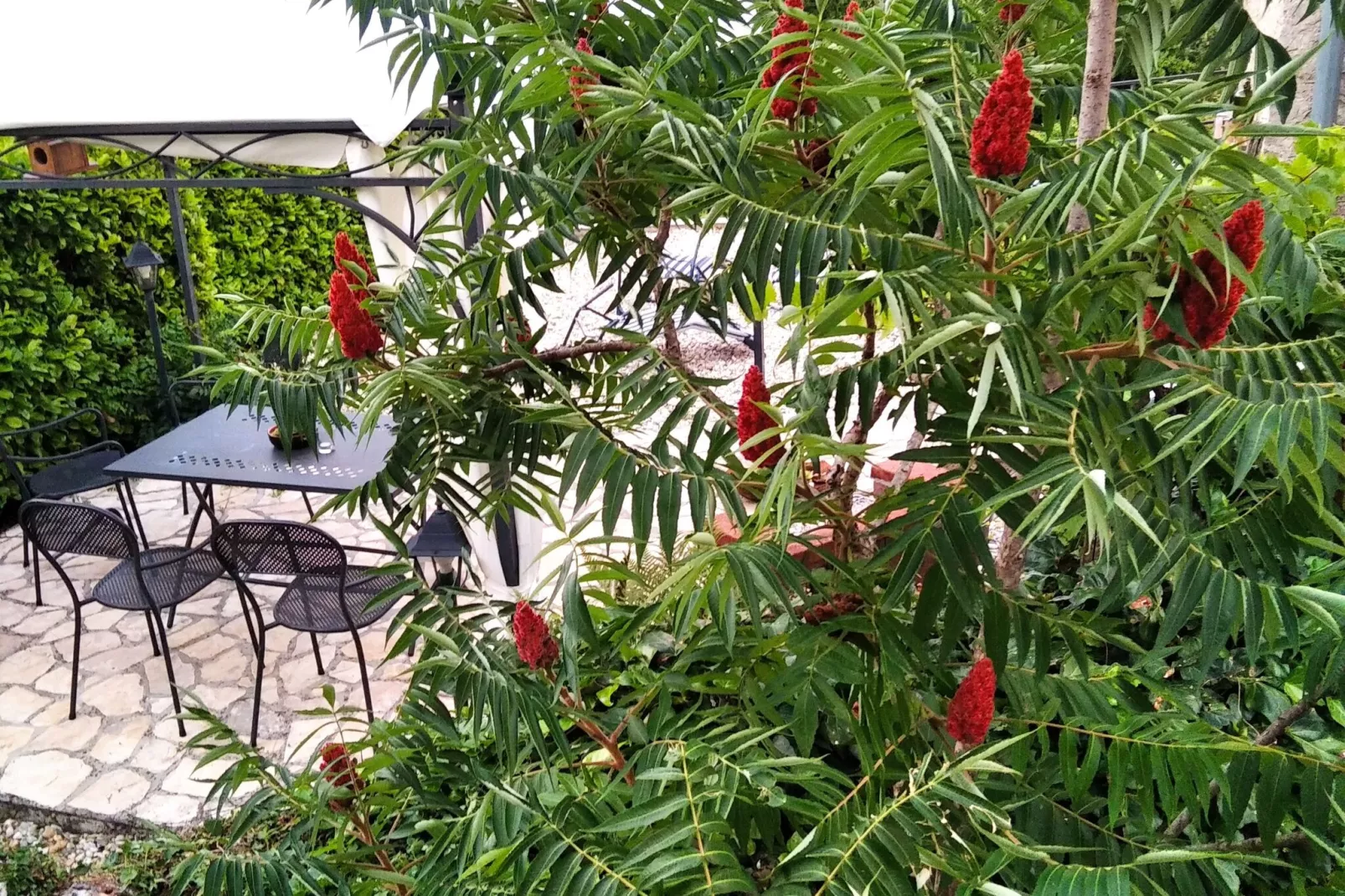 Holiday home Iva - Lovran Dobrec - ca 80 qm für 4 Pers-Extérieur