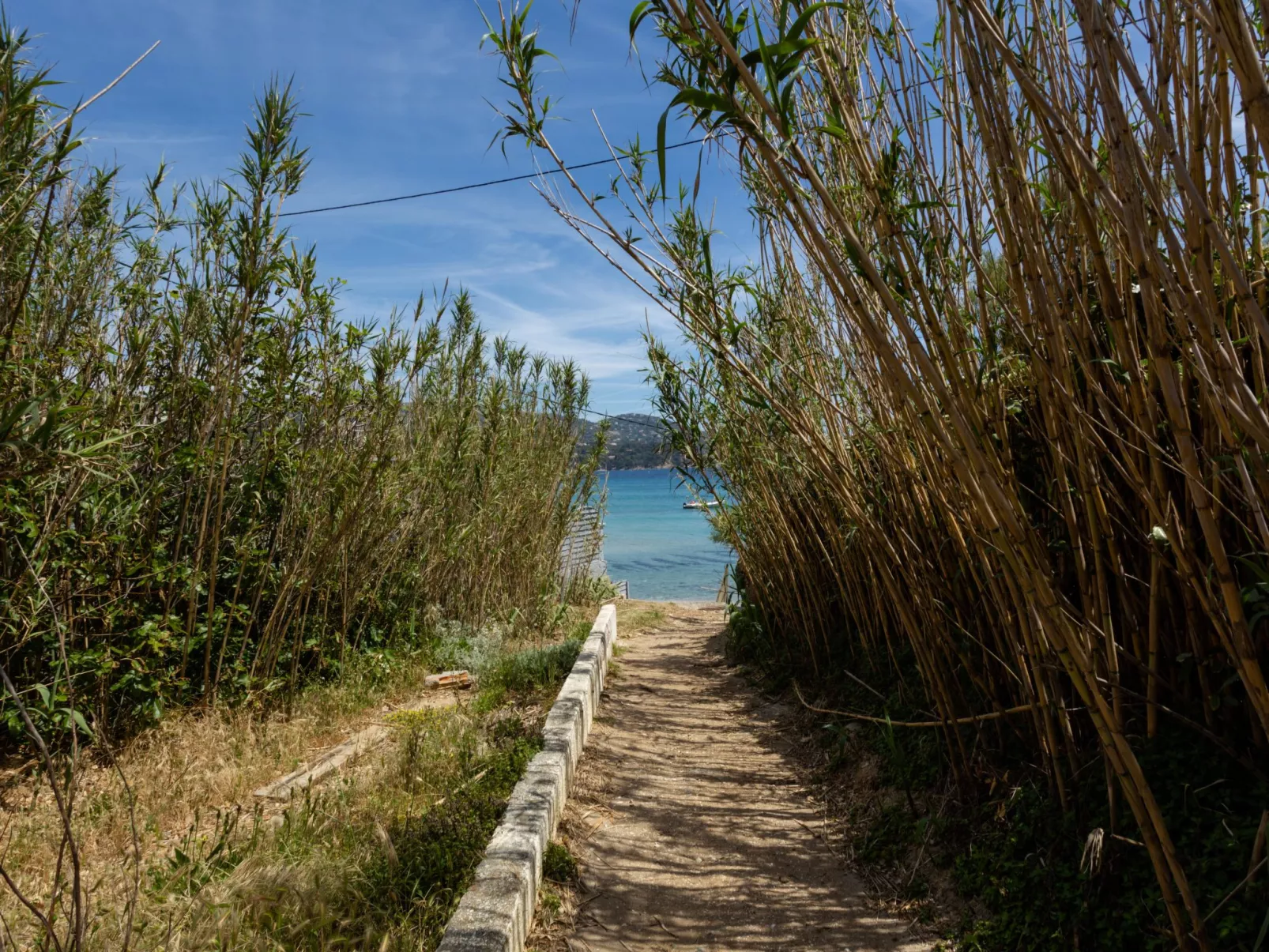 Cap Négre : Domaine de la Pinède-Outside