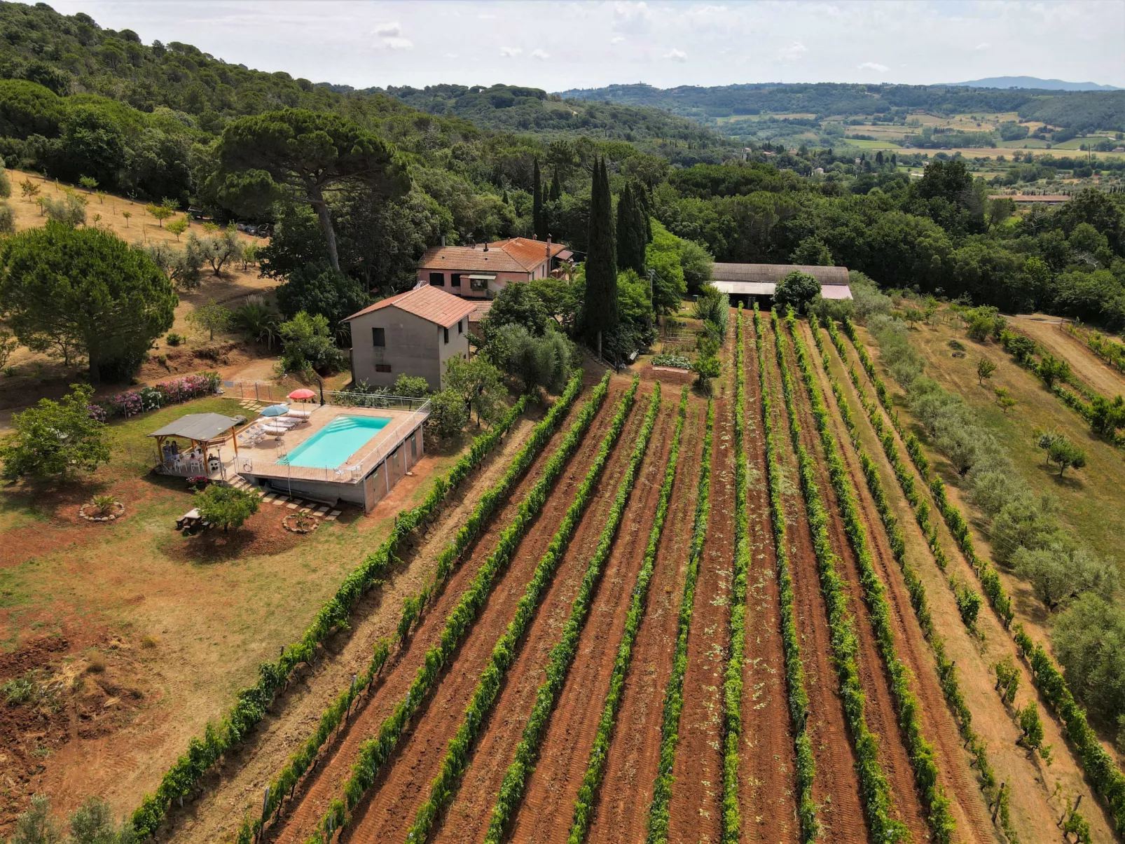 Podere la Quercia-Outside