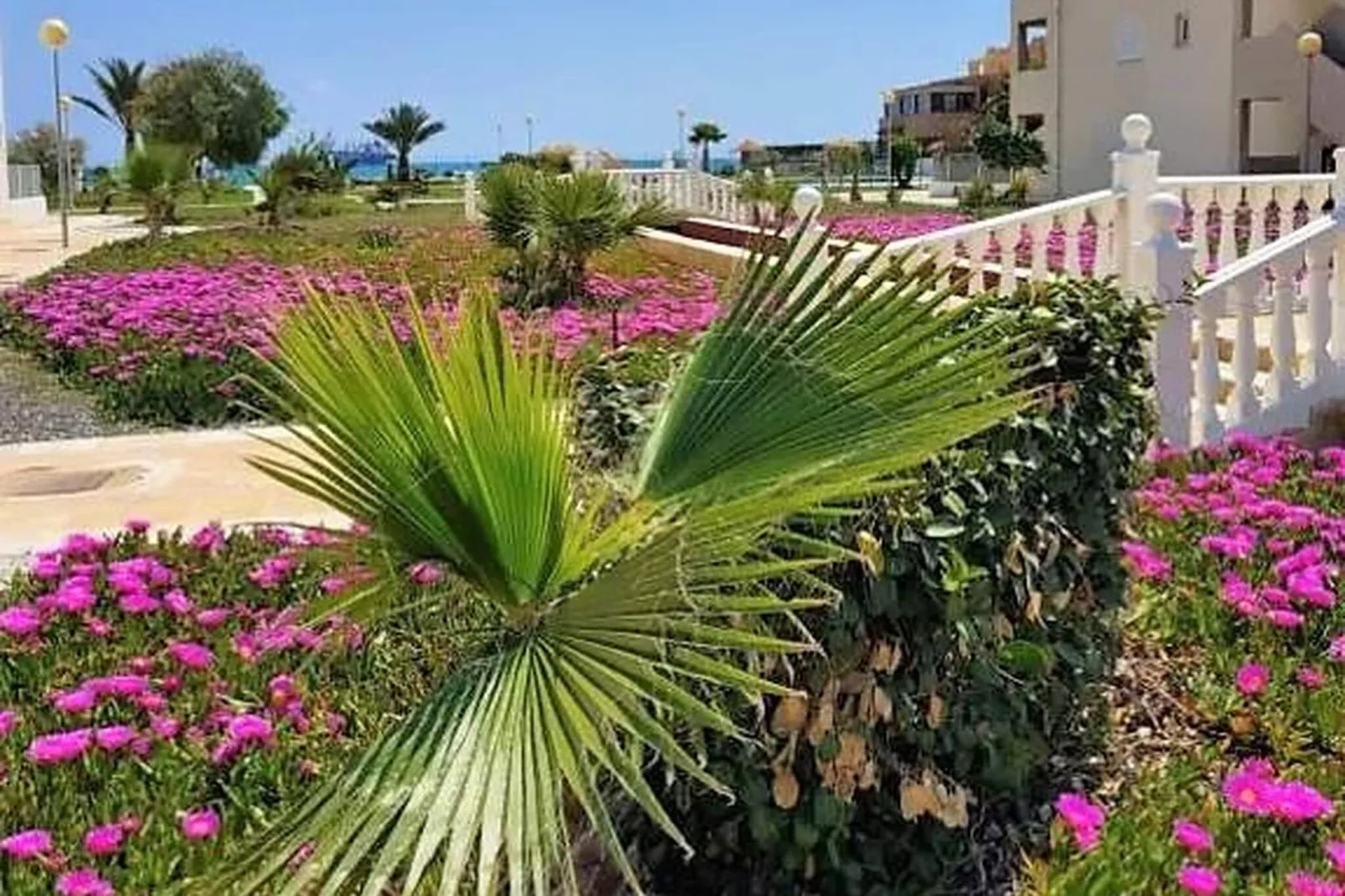 Natura World Duplex con patio privado 1d y 2b-View summer