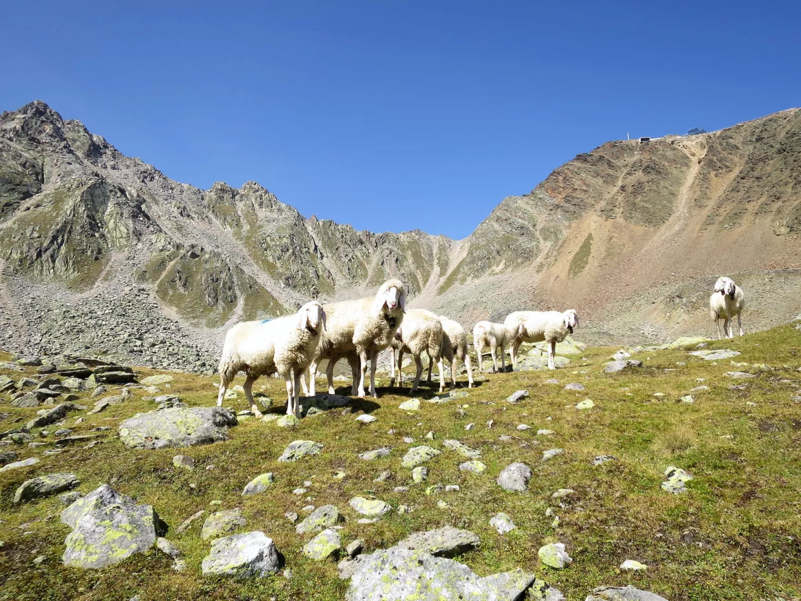 Moosalm-Area