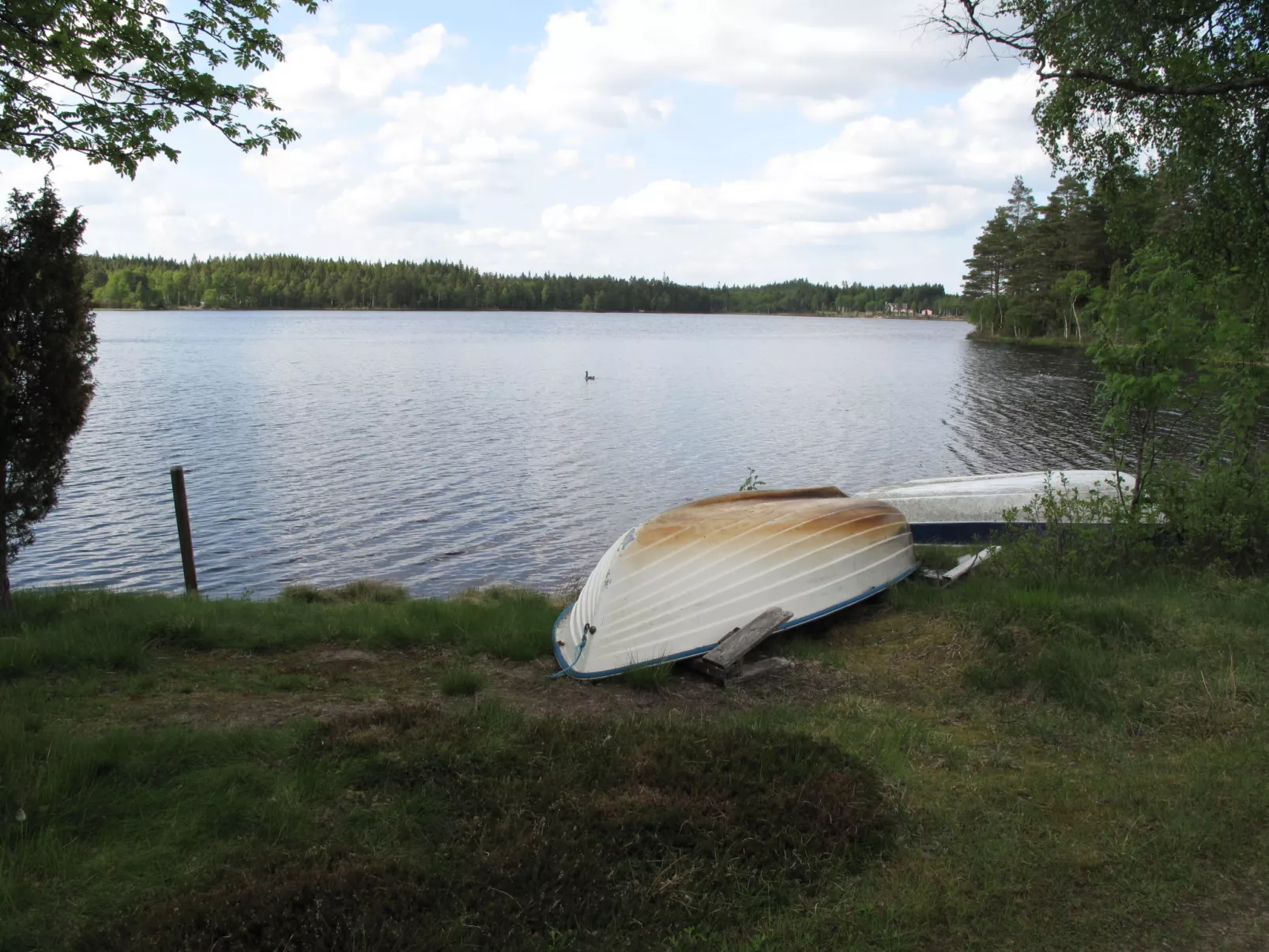 Vänneböke-Outside