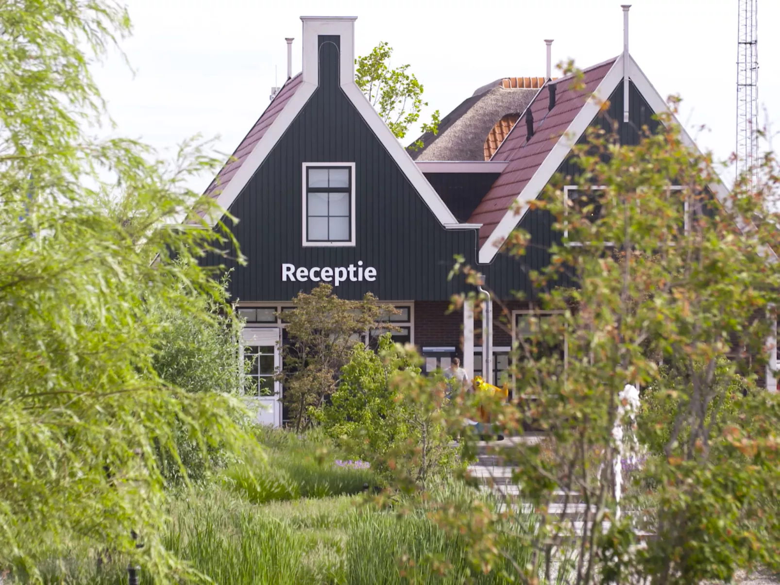 Zuiderzee 10-Outside