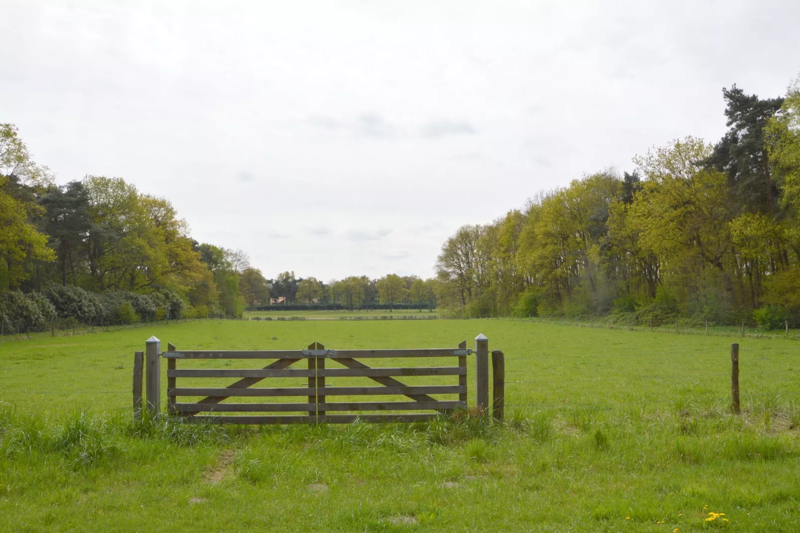 Het Kleine Landgoed-Areas summer 1km