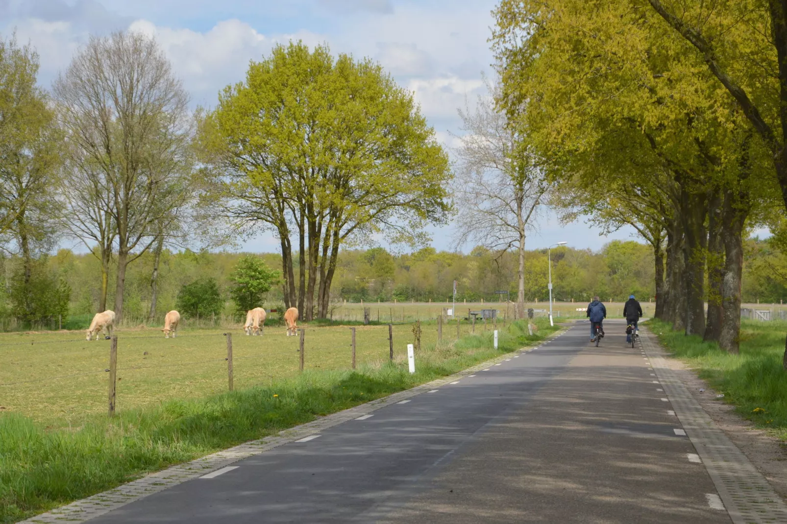 Het Kleine Landgoed-Areas summer 5km