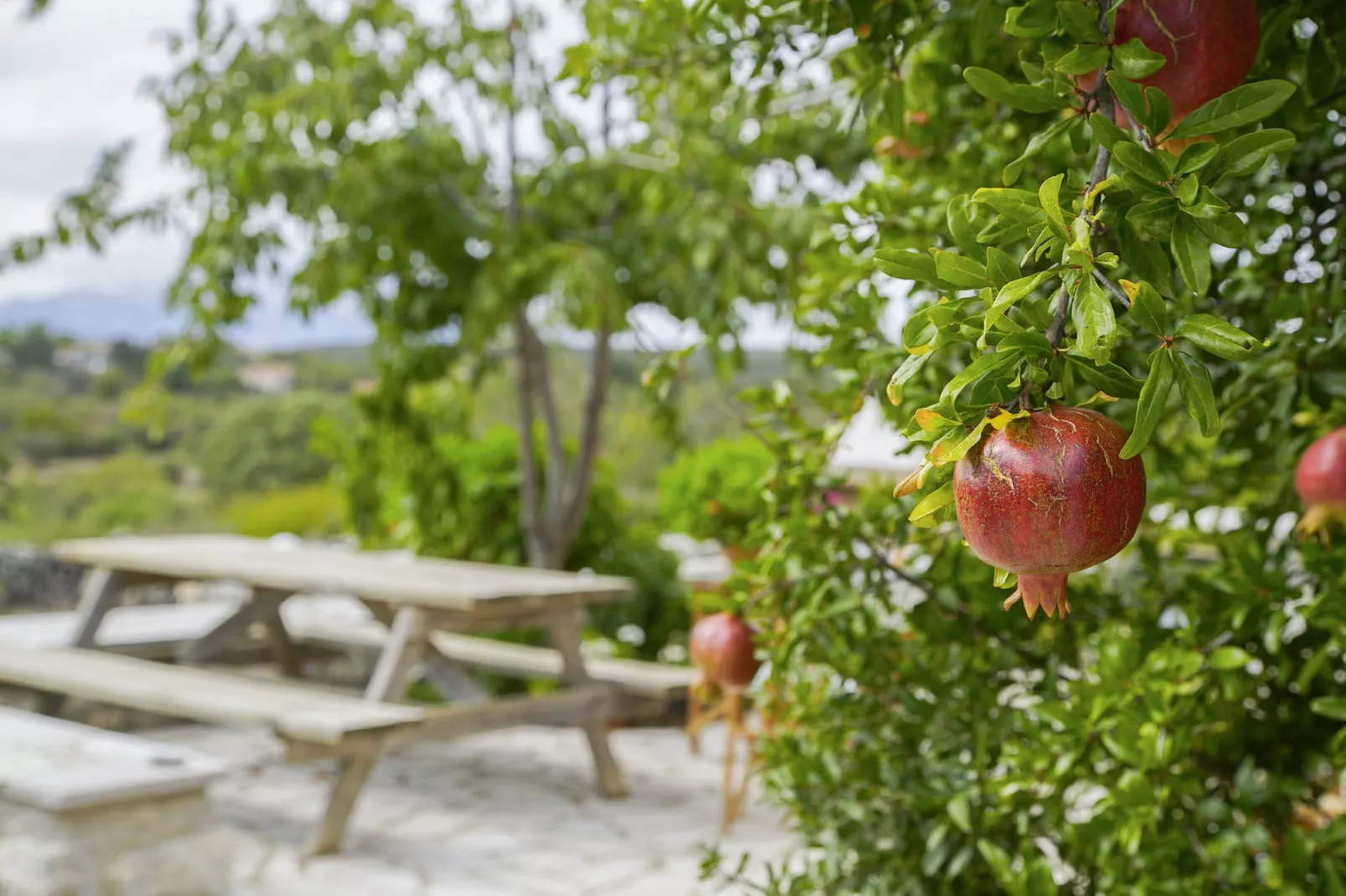 Villa Leonidion-Jardin d'été