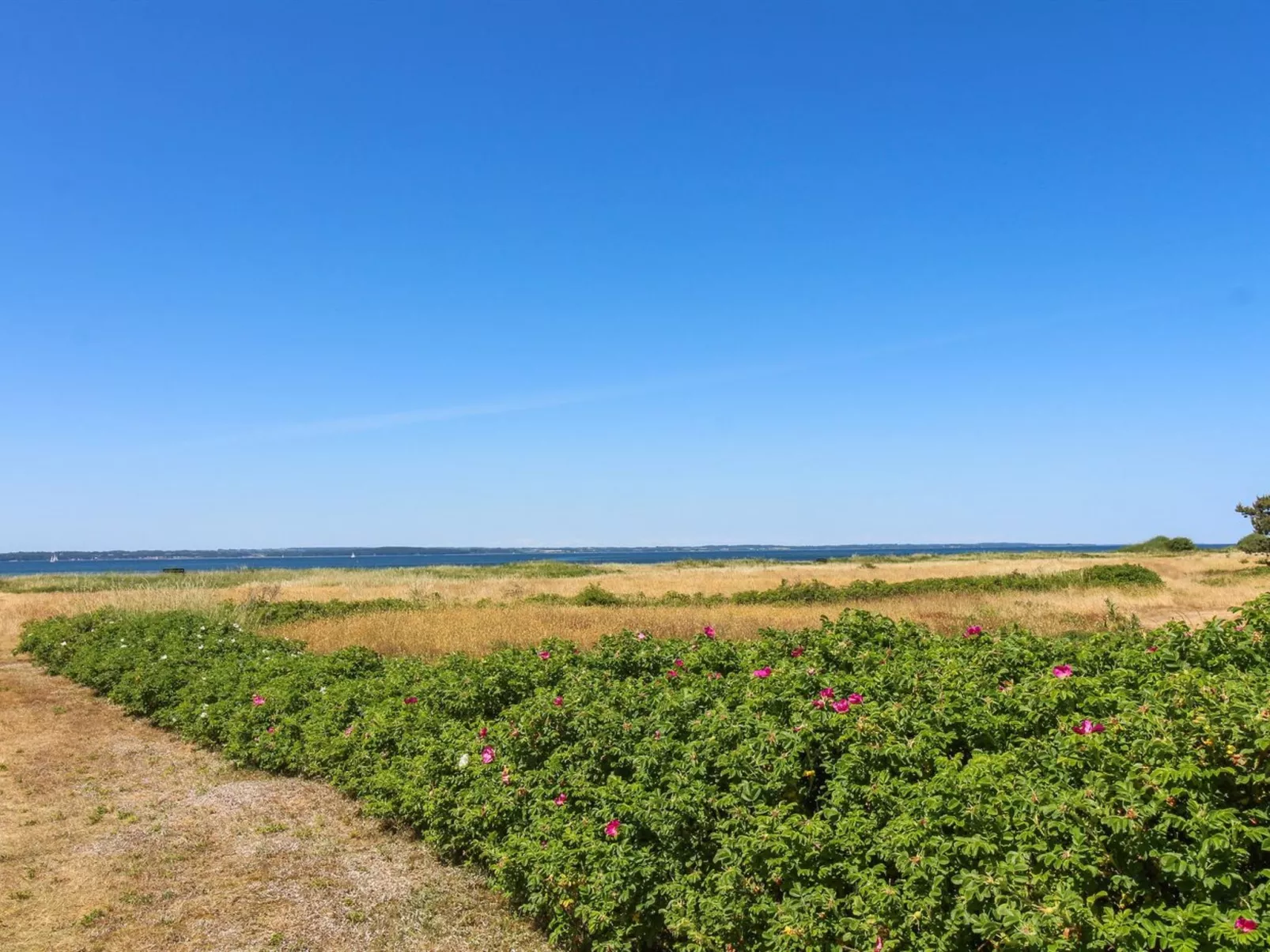 "Elisej" - 100m from the sea-Outside