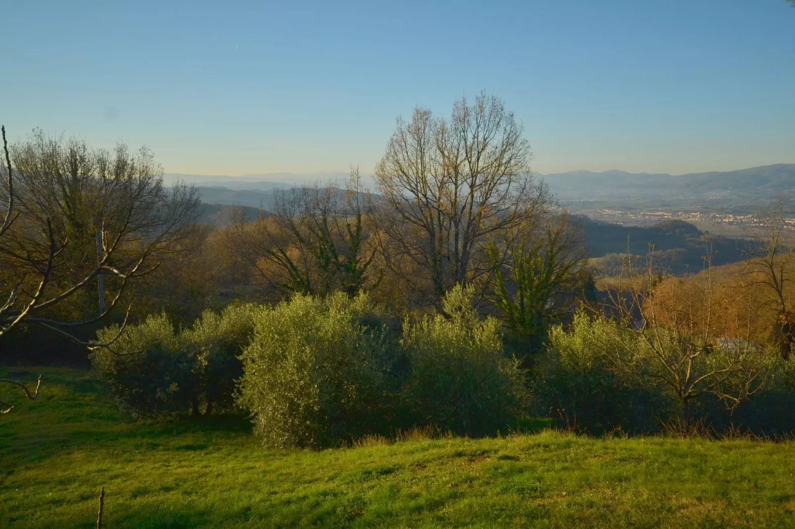 Casa Belvedere-View summer