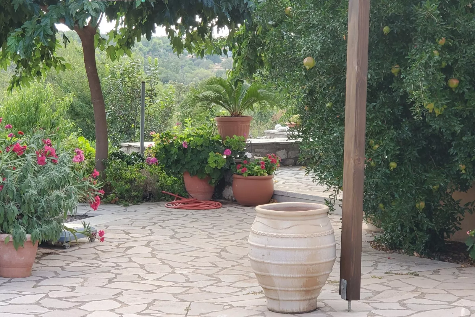 Villa Leonidion-Ambiance