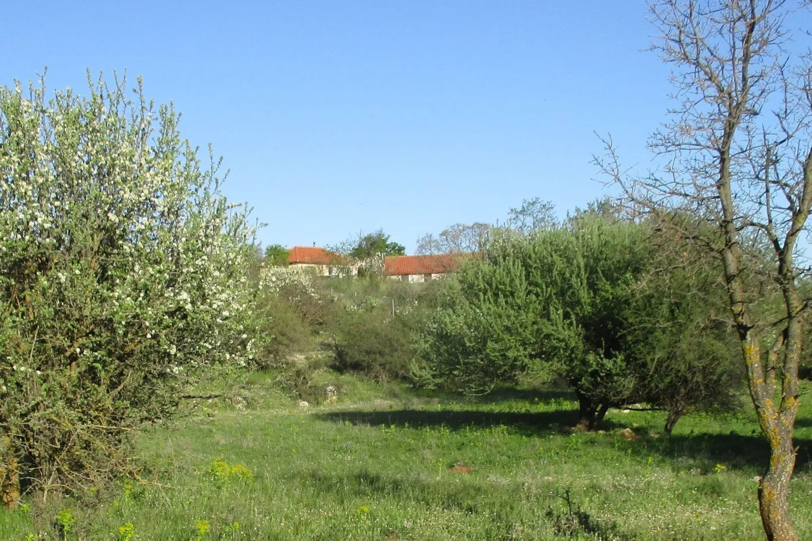Villa Leonidion-Ambiance