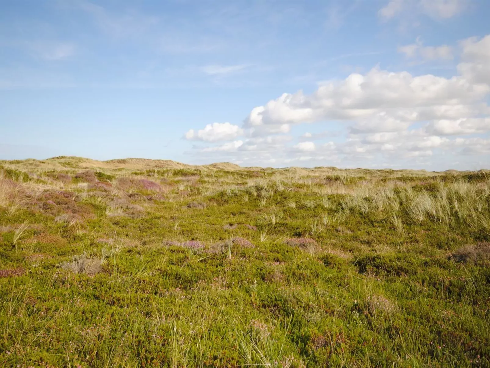 "Wulfhard" - 400m from the sea-Outside