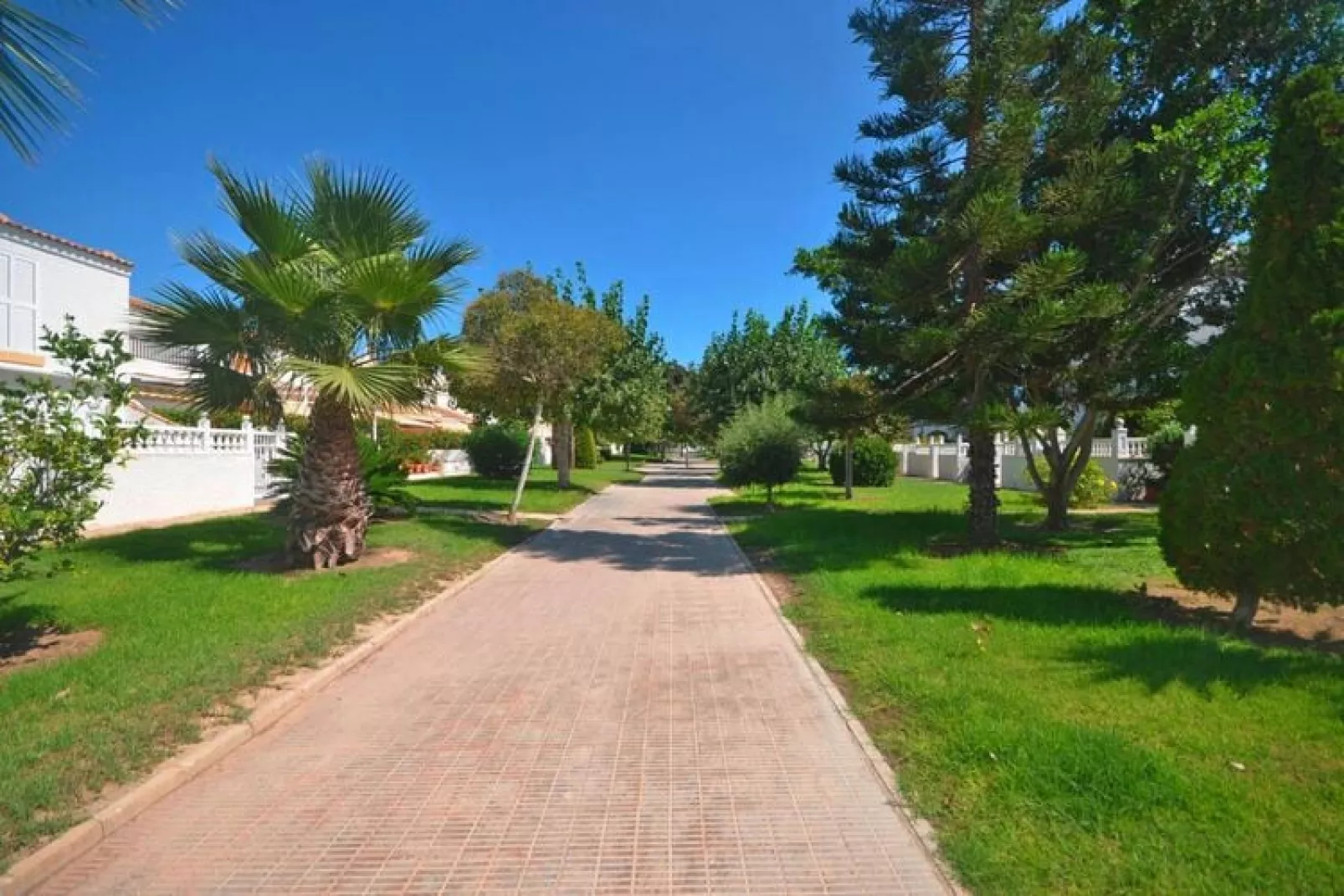 Holiday park Gran Vista Santa Pola - Reihenhaus 75 qm-Jardin d'été
