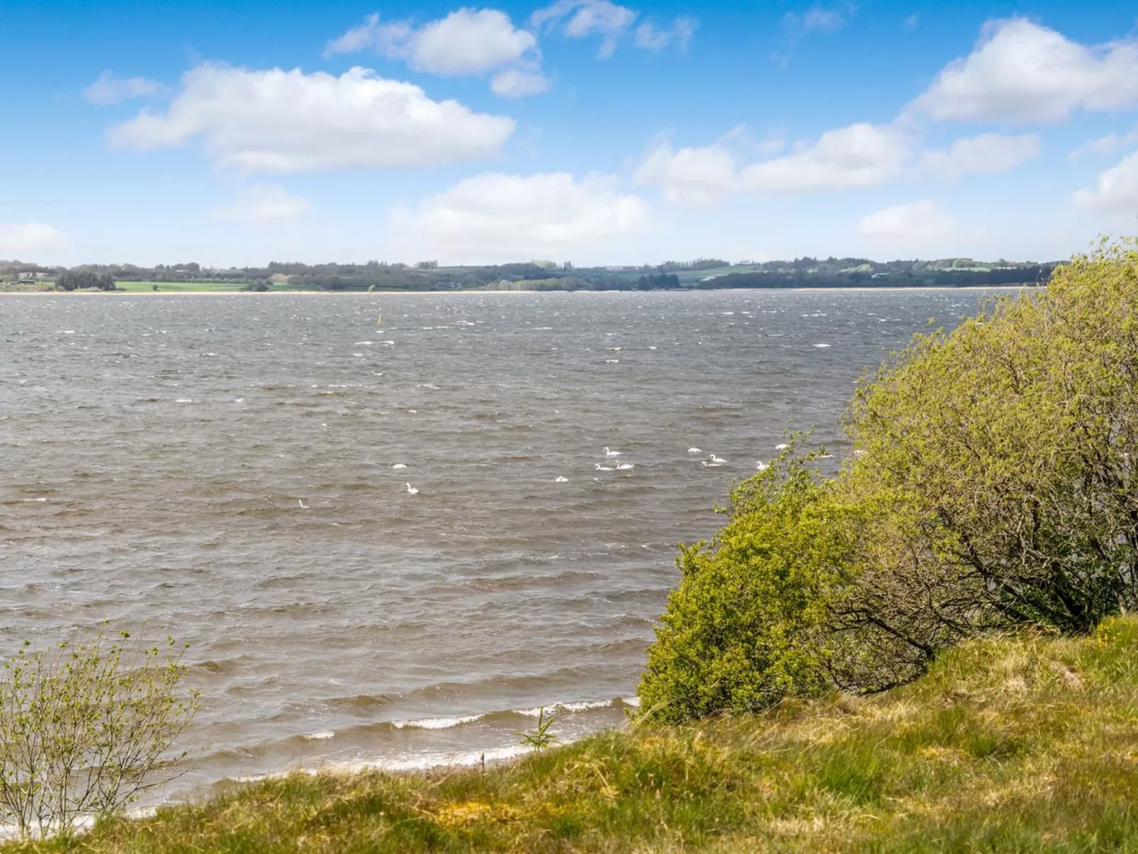 "Arleta" - 250m to the inlet-Draußen