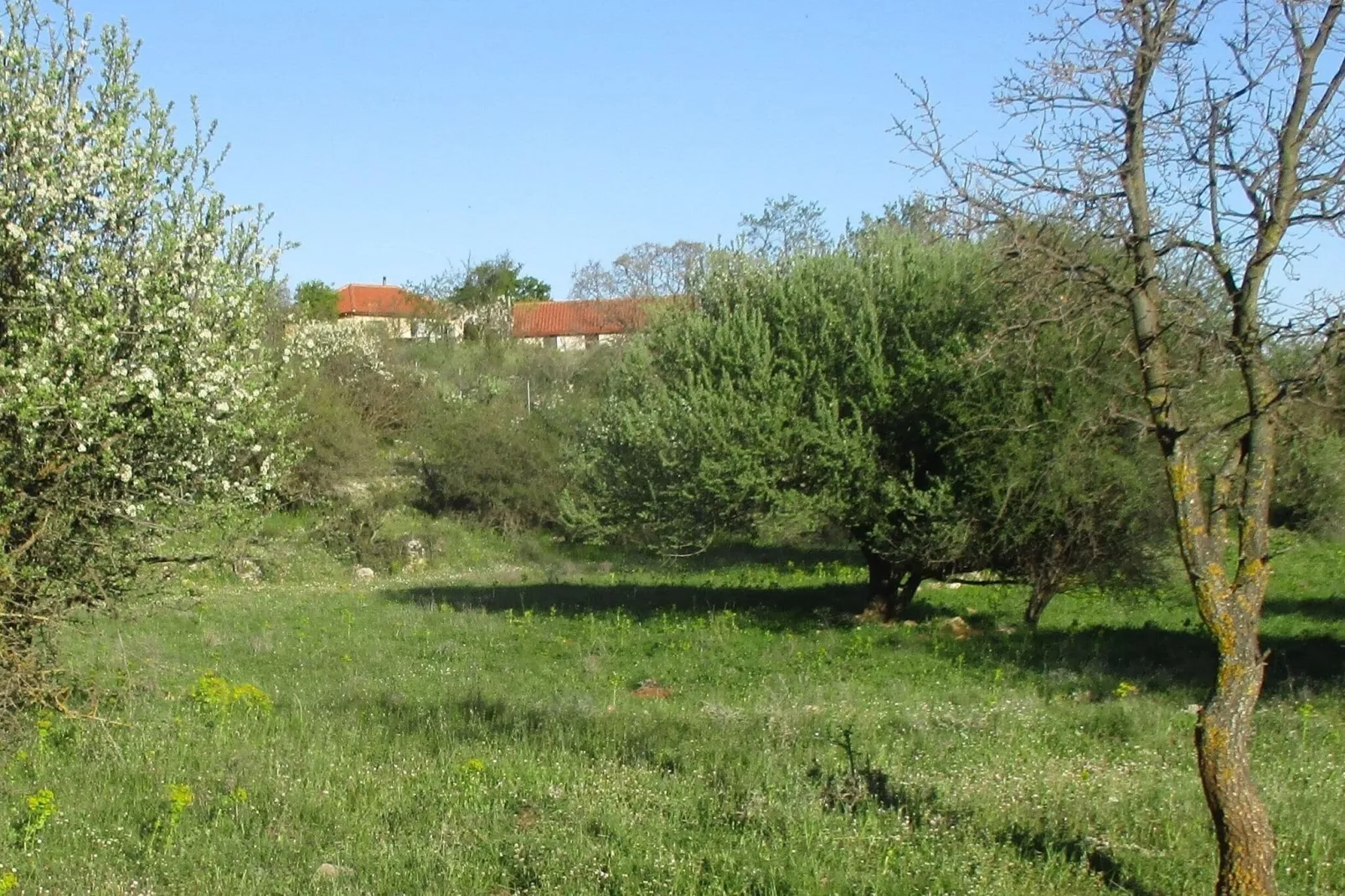 Arcadian Stone House-Jardin d'été