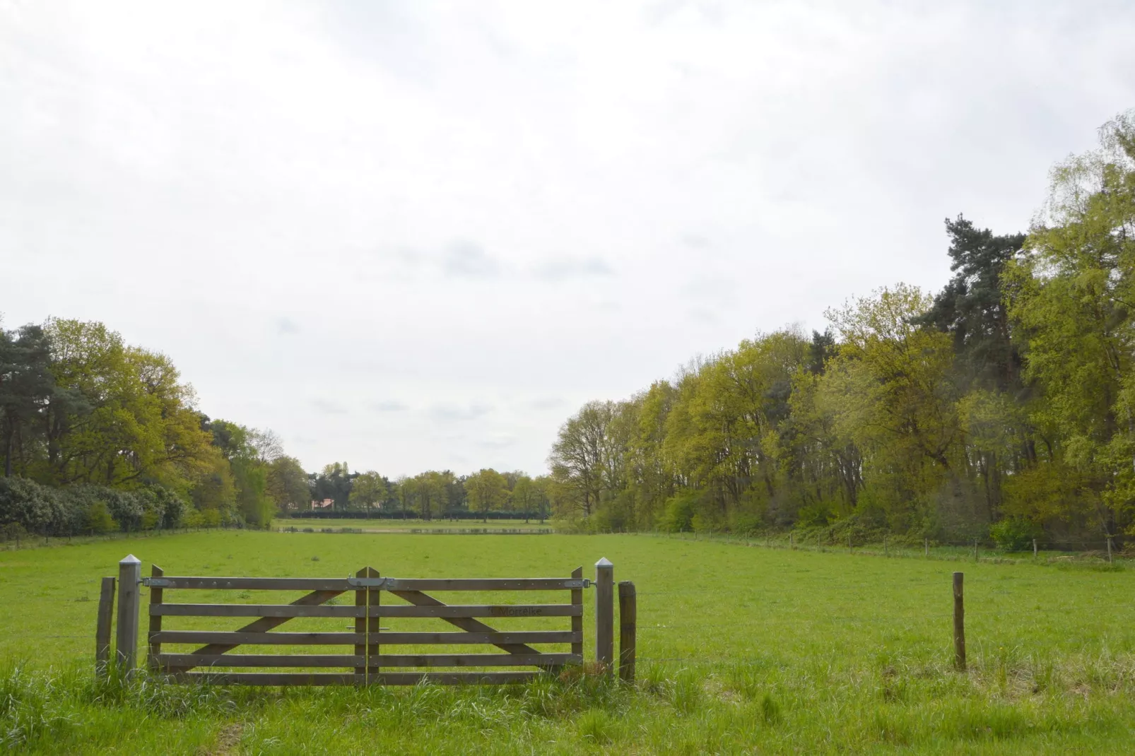 Bungalow 69-Areas summer 20km