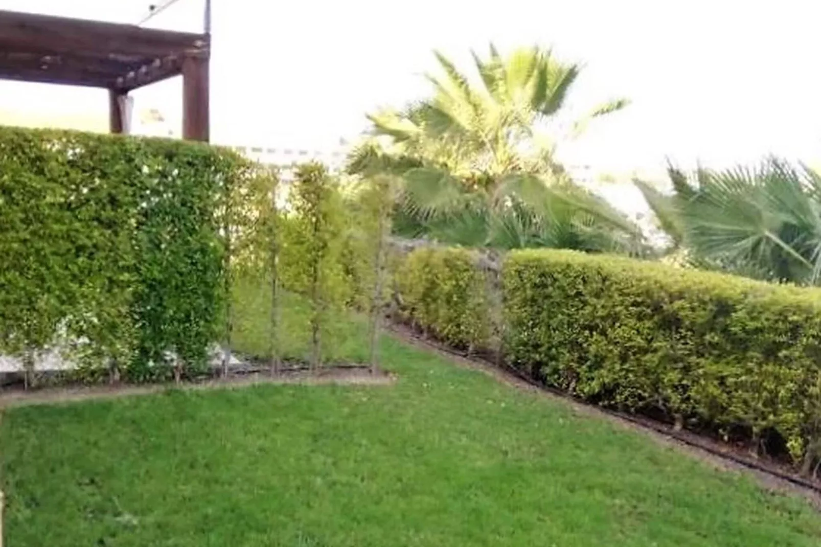 Valle del Este las Yucas-Gardens in summer