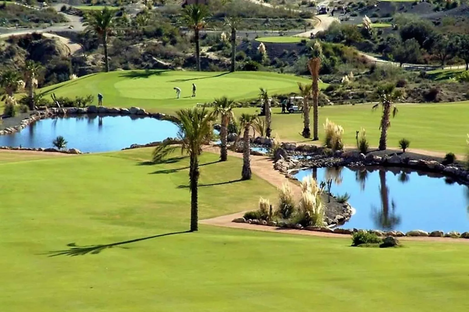 Valle del Este las Yucas-Ambiance